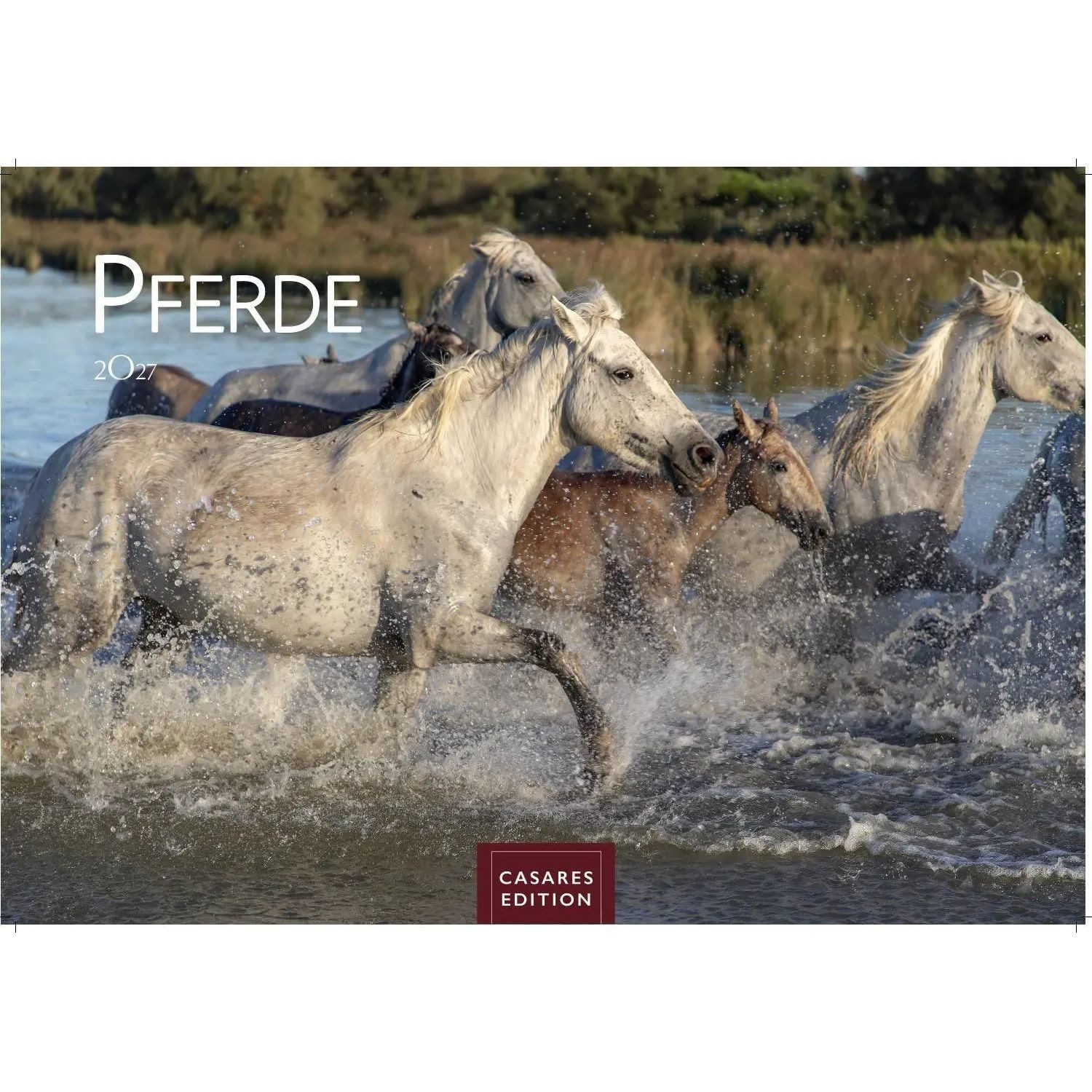 Wandkalender Pferde Kalender 2027 - Wandkalender, Fotokalender Tierkalender...