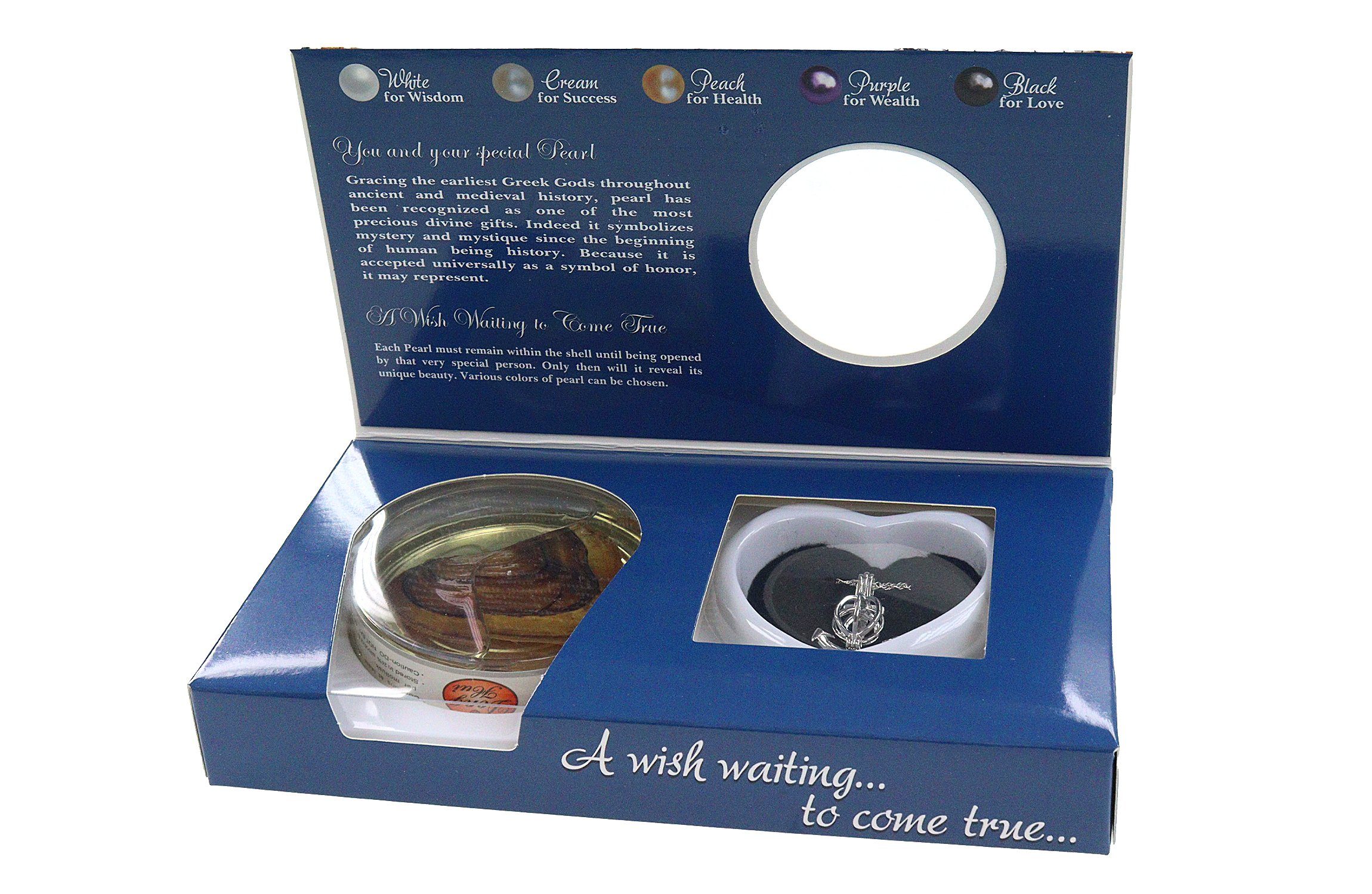 ELLUG Kette mit Anhänger Wunschperle aus echter Muschel mit Halskette und A günstig online kaufen