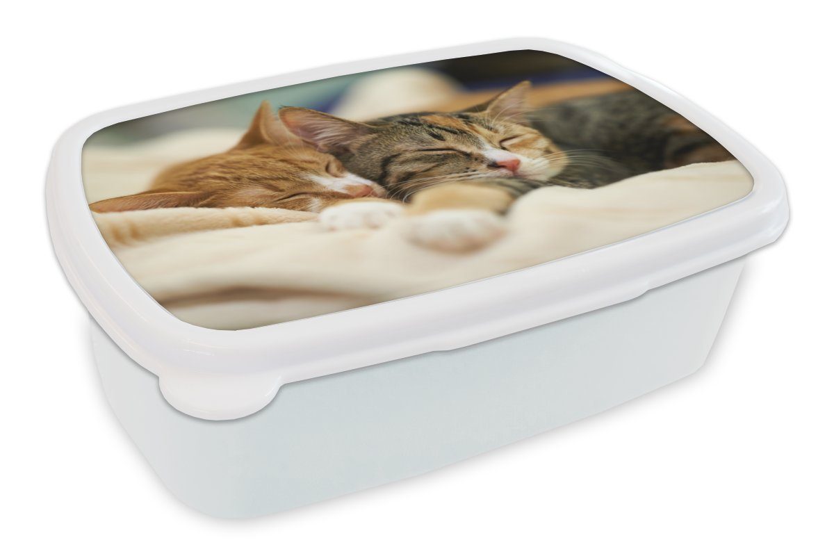 MuchoWow Lunchbox Katzen - Schlafen - Vorleger, Kunststoff, (2-tlg), Brotbox für Kinder und Erwachsene, Brotdose, für Jungs und Mädchen weiß