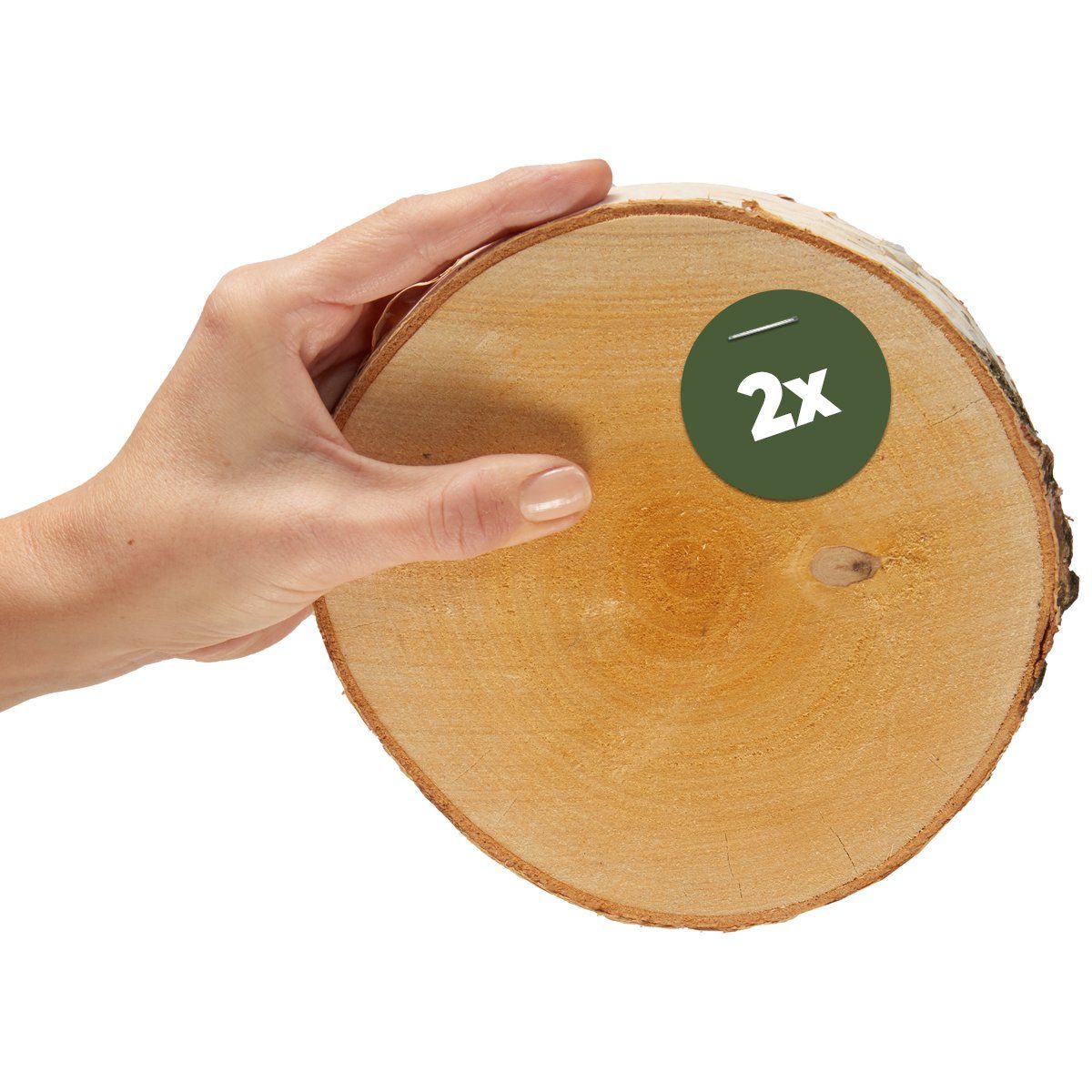 matches21 HOME & HOBBY Bastelnaturmaterial Kleine 16 cm Baumscheiben 2er Pack zum Holz-Deko Basteln, (2-tlg), runde Holzscheiben aus massivem EU Birkenholz