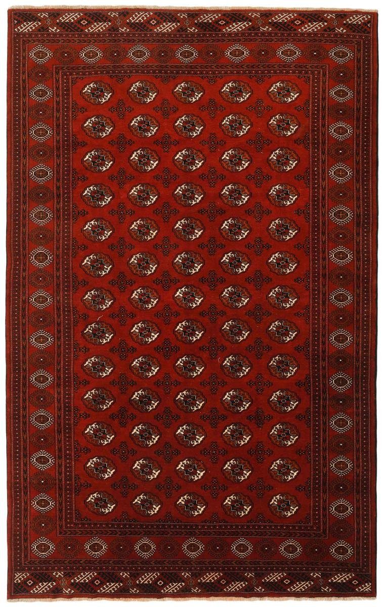 Orientteppich Turkaman 271x417 Handgeknüpfter Orientteppich / Perserteppich, Nain Trading, rechteckig, Höhe: 6 mm