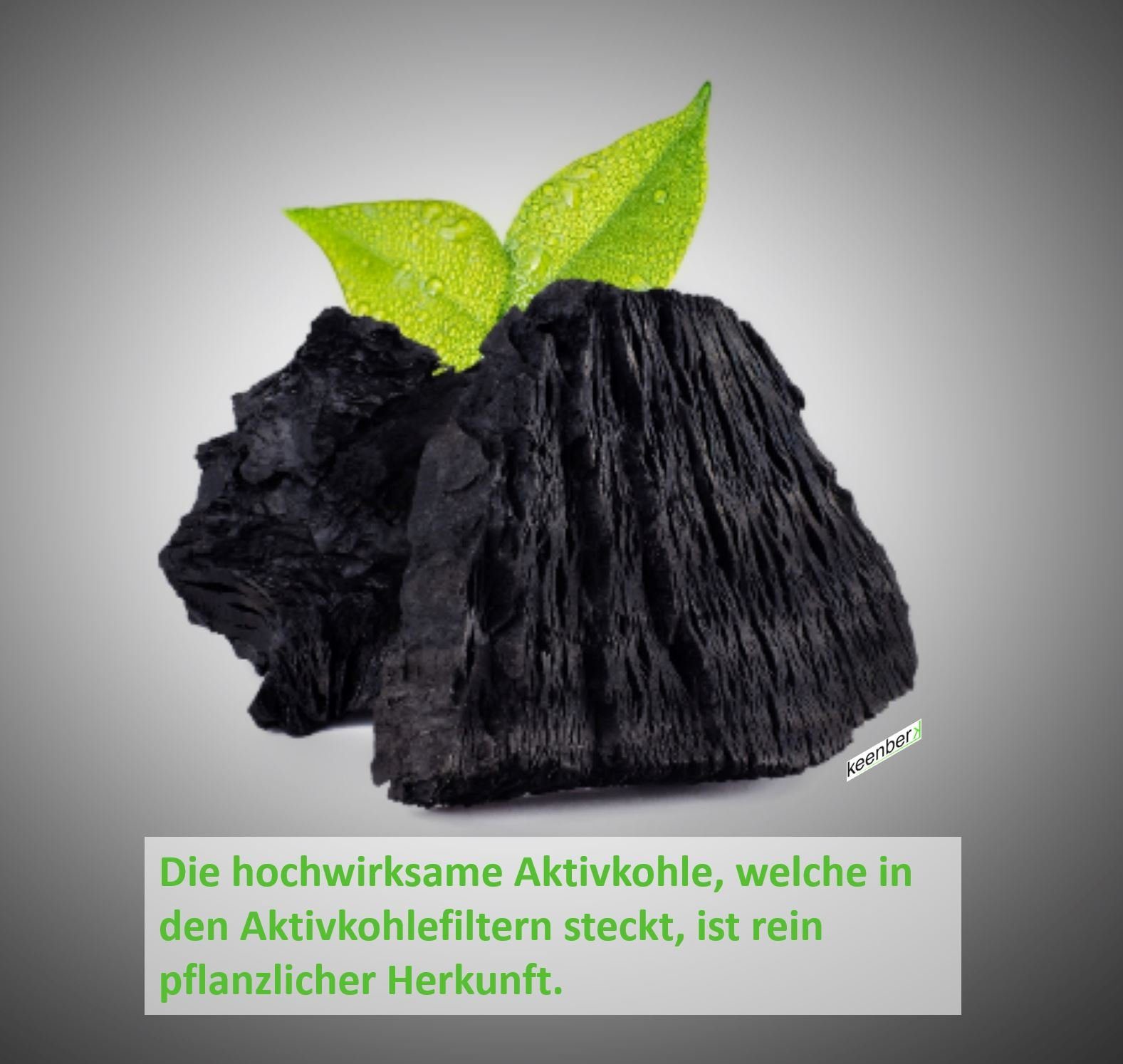 keenberk Aktivkohlefilter Dunstabzugshaube für AEG ECFB03, 9029798809 - Inhalt 2 Stück