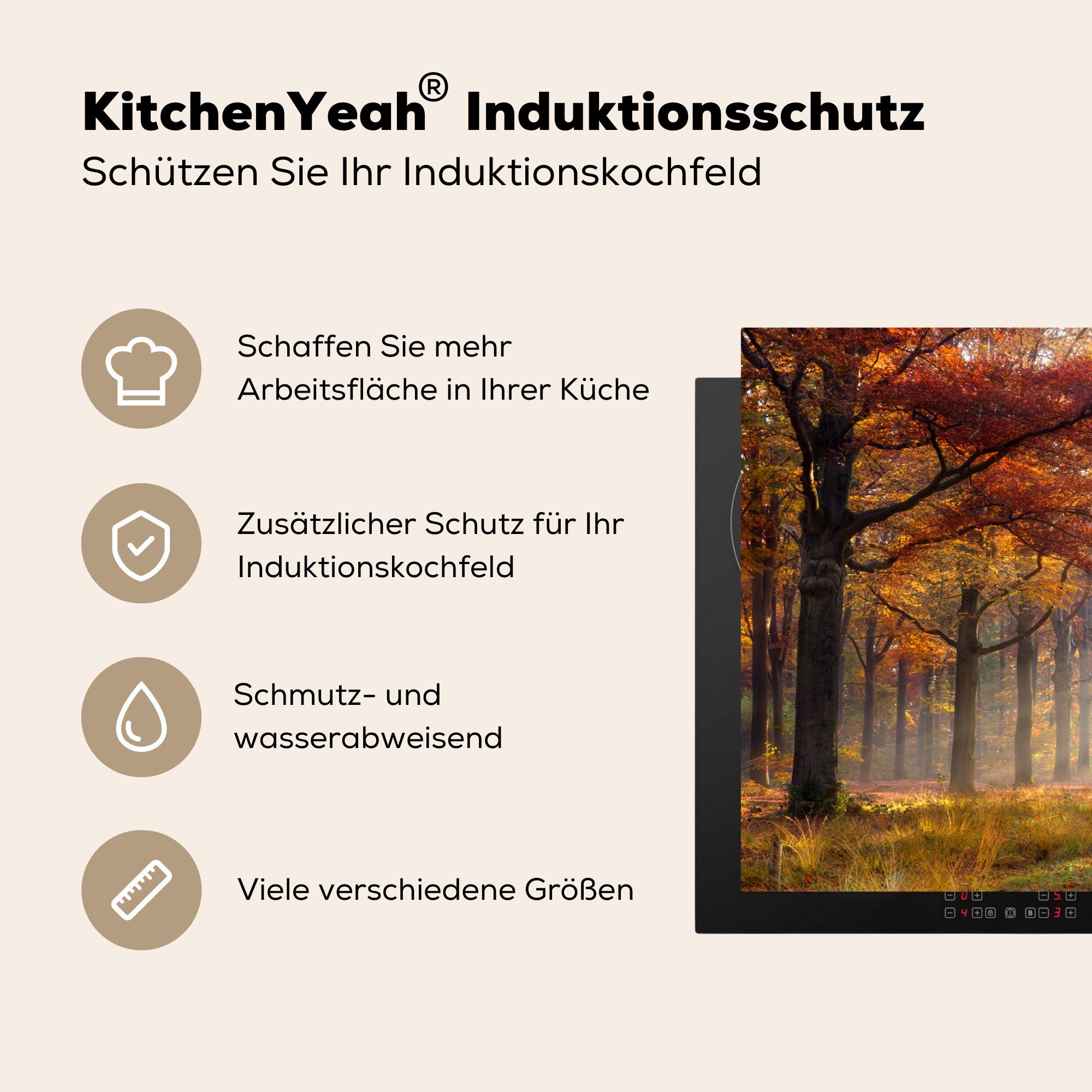 81x52 die Ceranfeldabdeckung Wald für MuchoWow Induktionskochfeld Schutz tlg), Herbst Vinyl, (1 Herdblende-/Abdeckplatte - küche, - Baum, cm,