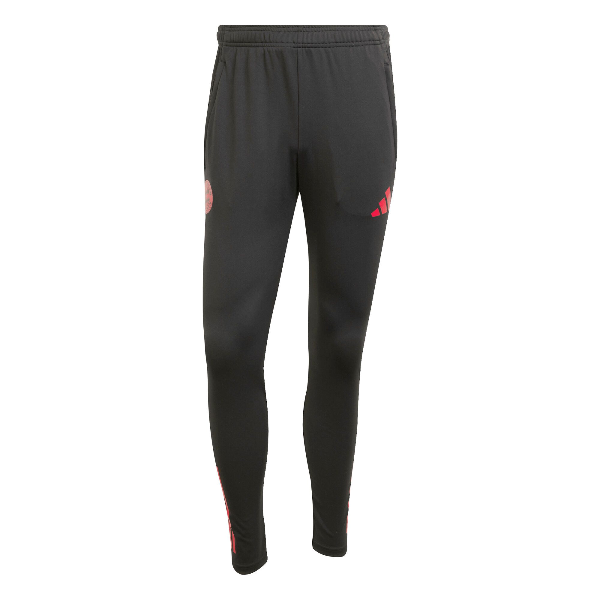 adidas Performance Trainingshose adidas Herren FC Bayern München Trainingshose 2025/26 EU TR PNT