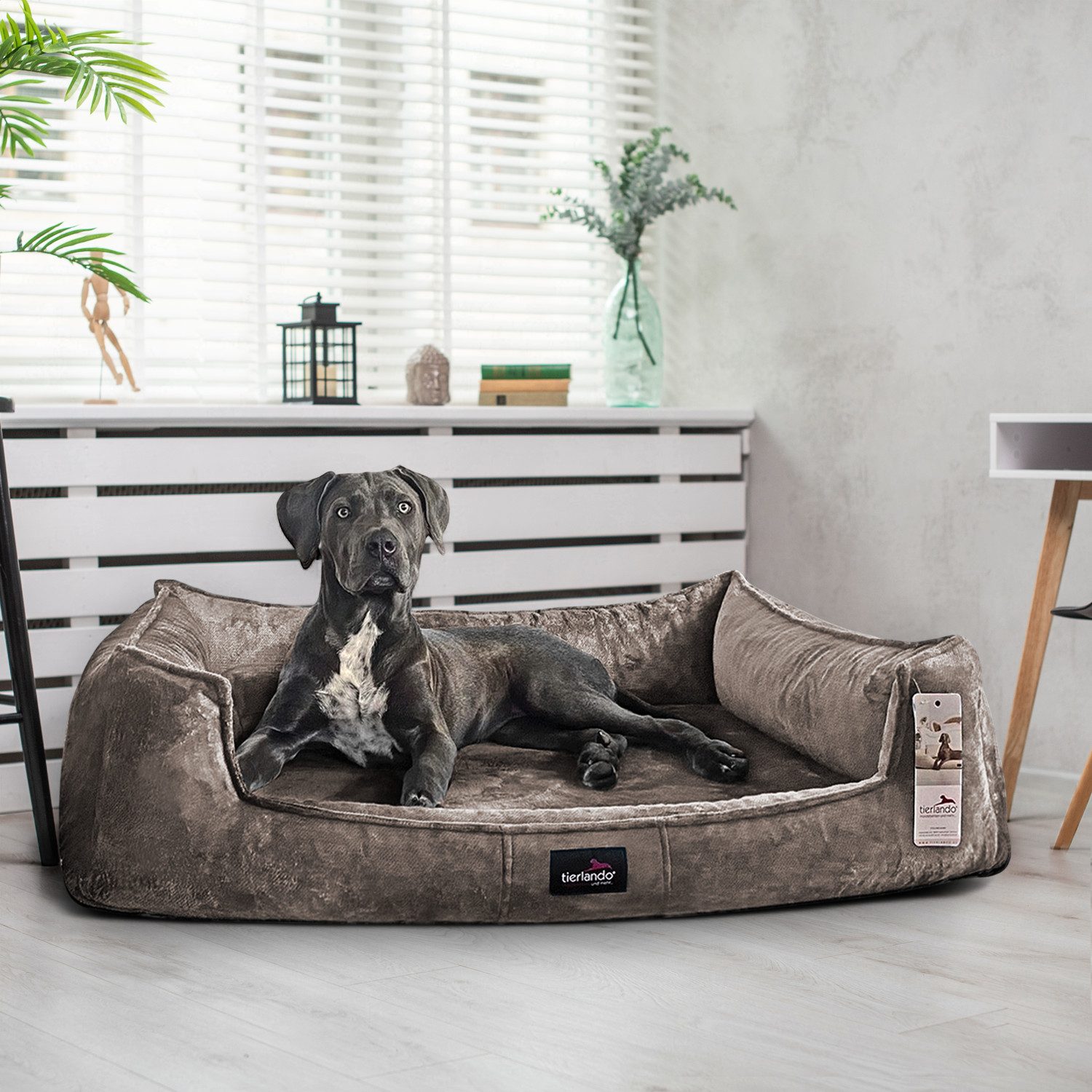tierlando® Tierbett Orthopädisches Hundebett FRANKLIN Kuscheliger Teddy-Sto günstig online kaufen