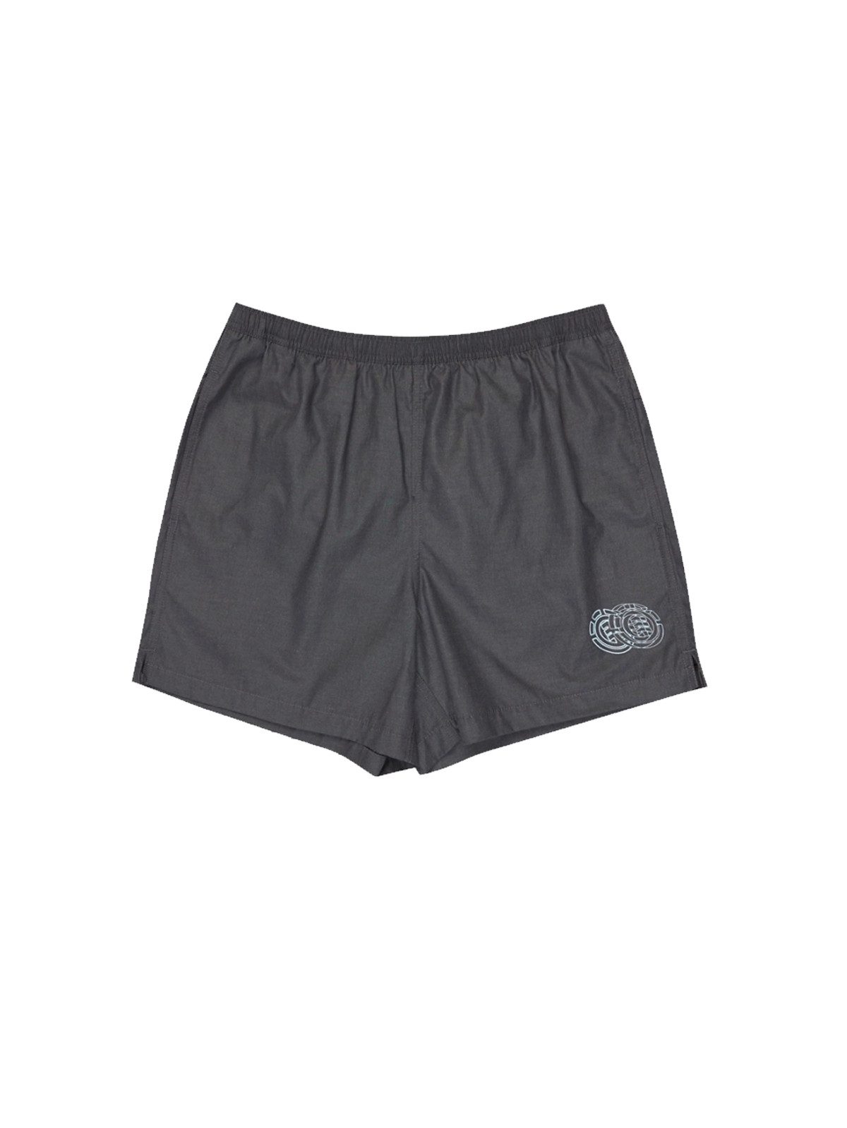Element 2-in-1-Shorts Element Pool Chillin Short (1-tlg)