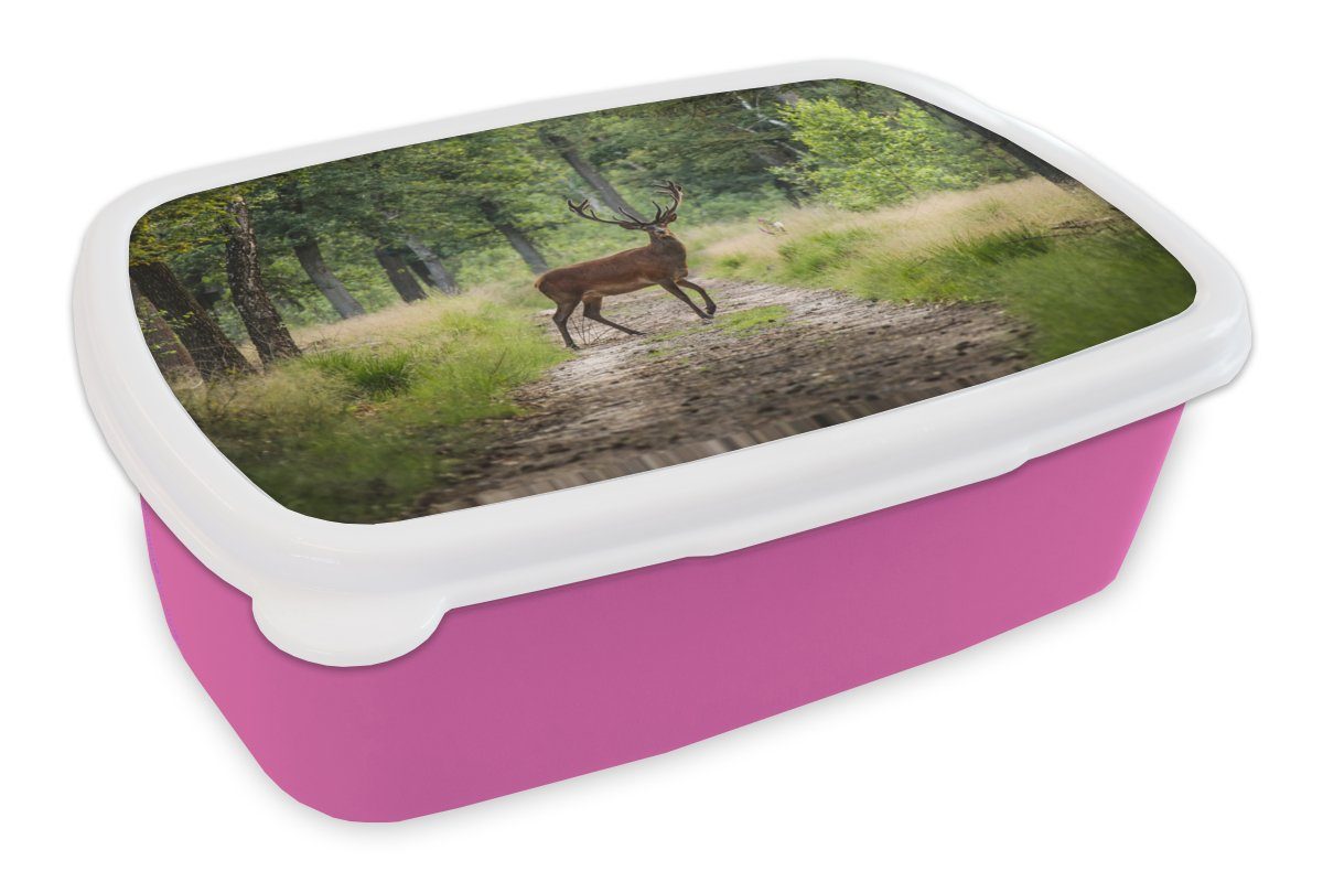 MuchoWow Lunchbox Wald - Hirsche - Bäume, Kunststoff, (2-tlg), Brotbox für Erwachsene, Brotdose Kinder, Snackbox, Mädchen, Kunststoff rosa