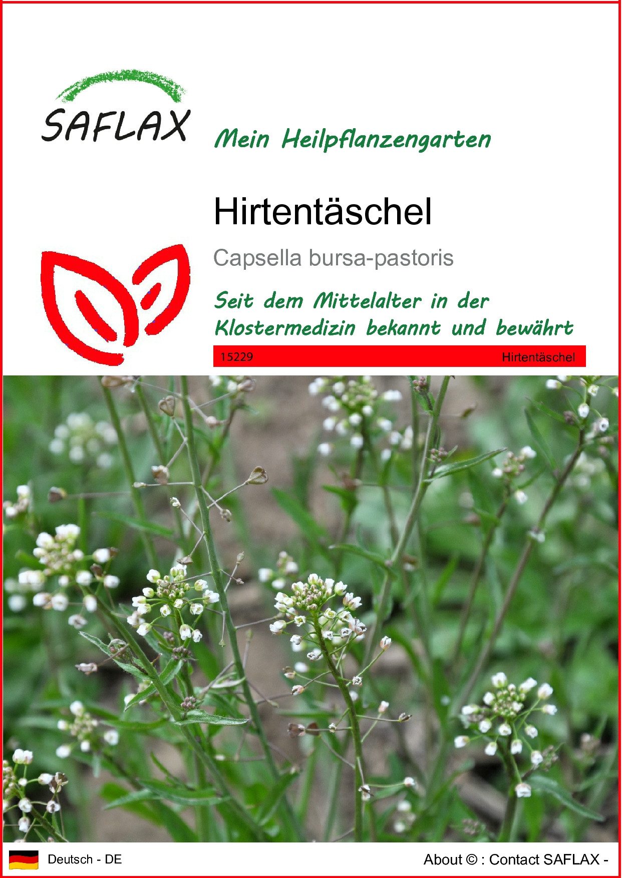 SAFLAX Blumensamen SAFLAX - Samen - Hirtentäschel