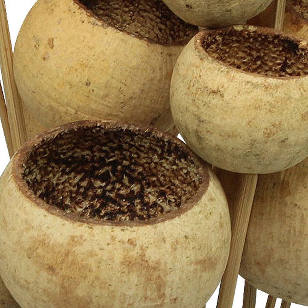 Trockenblume Bell Cup Natur Deko am Stiel Exoten 15 Stk, Viana, Höhe 38 cm günstig online kaufen