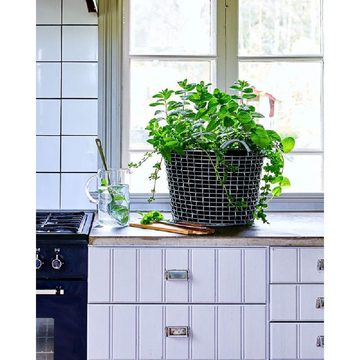 Korbo Balkonset Pflanzeinsätze für Bin und Bucket 16 (3-teilig)
