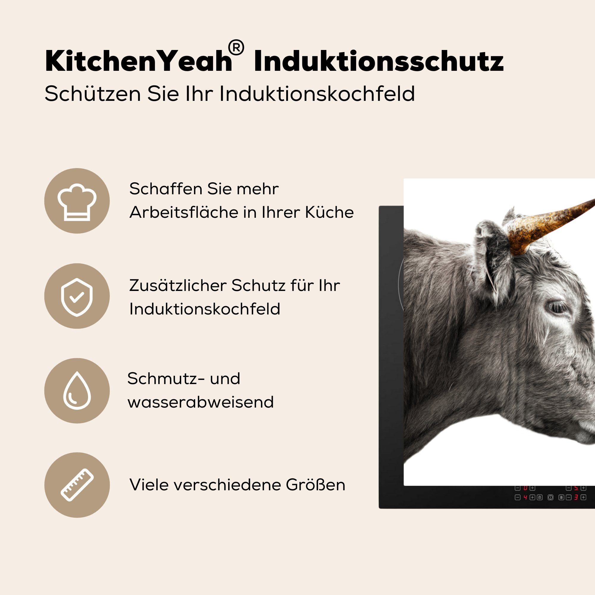- - tlg), Tiere Kuh, Ceranfeldabdeckung, cm, MuchoWow Herdblende-/Abdeckplatte für 78x78 küche (1 Schottischer Highlander Vinyl, Arbeitsplatte
