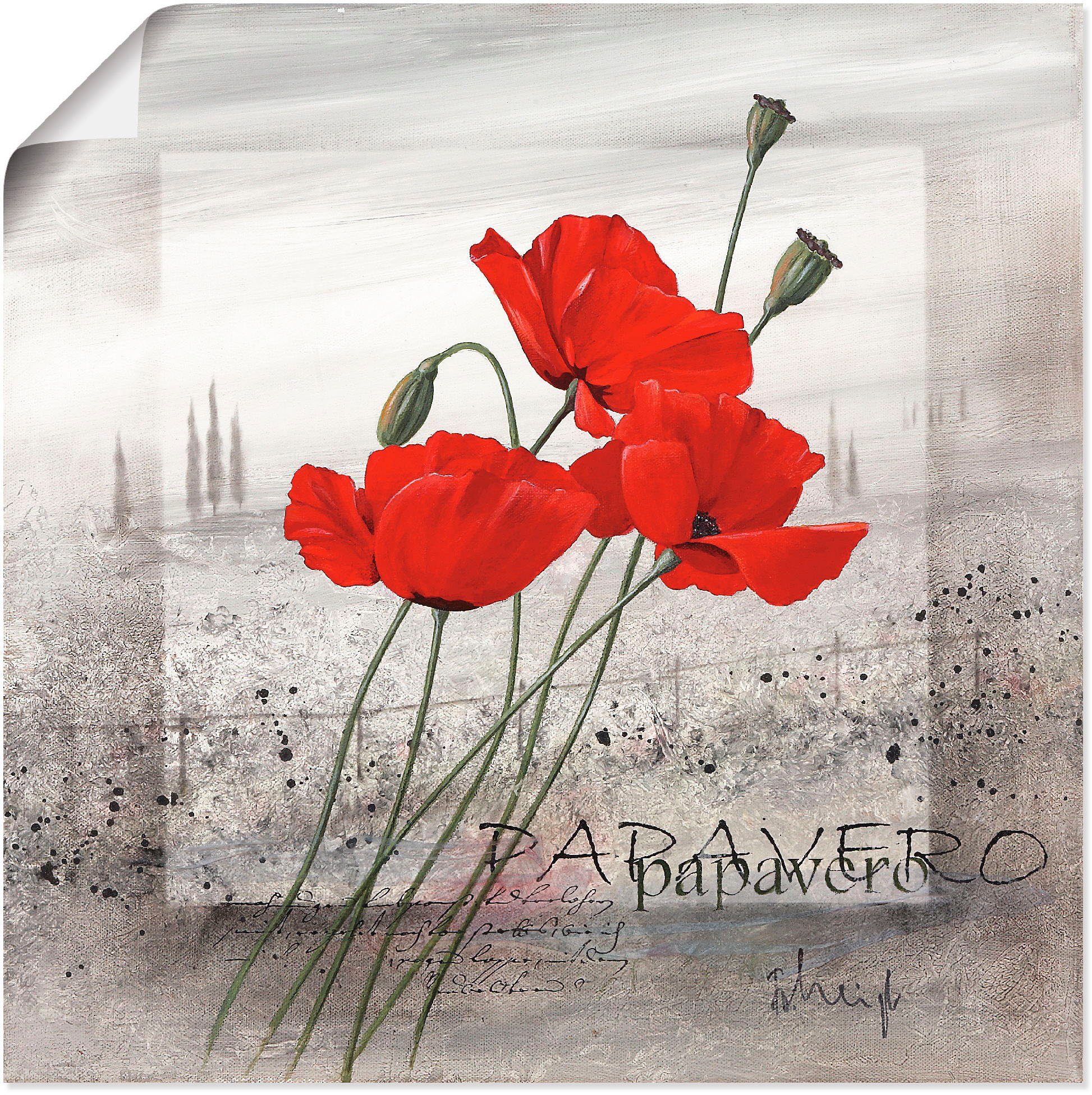 Artland Wandbild Mohnblumen, Blumen (1 St), günstig online kaufen