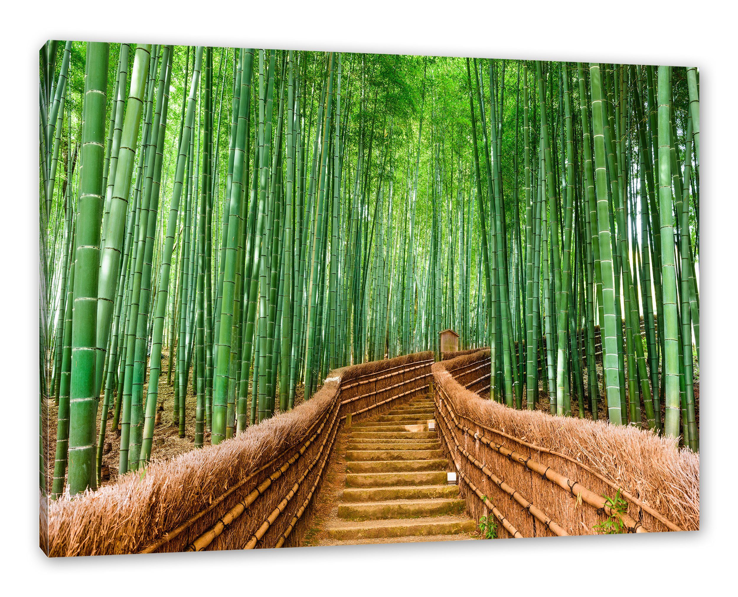 Pixxprint Leinwandbild Kyoto Japan Bambuswald, Kyoto Japan Bambuswald (1 St), Leinwandbild fertig bespannt, inkl. Zackenaufhänger