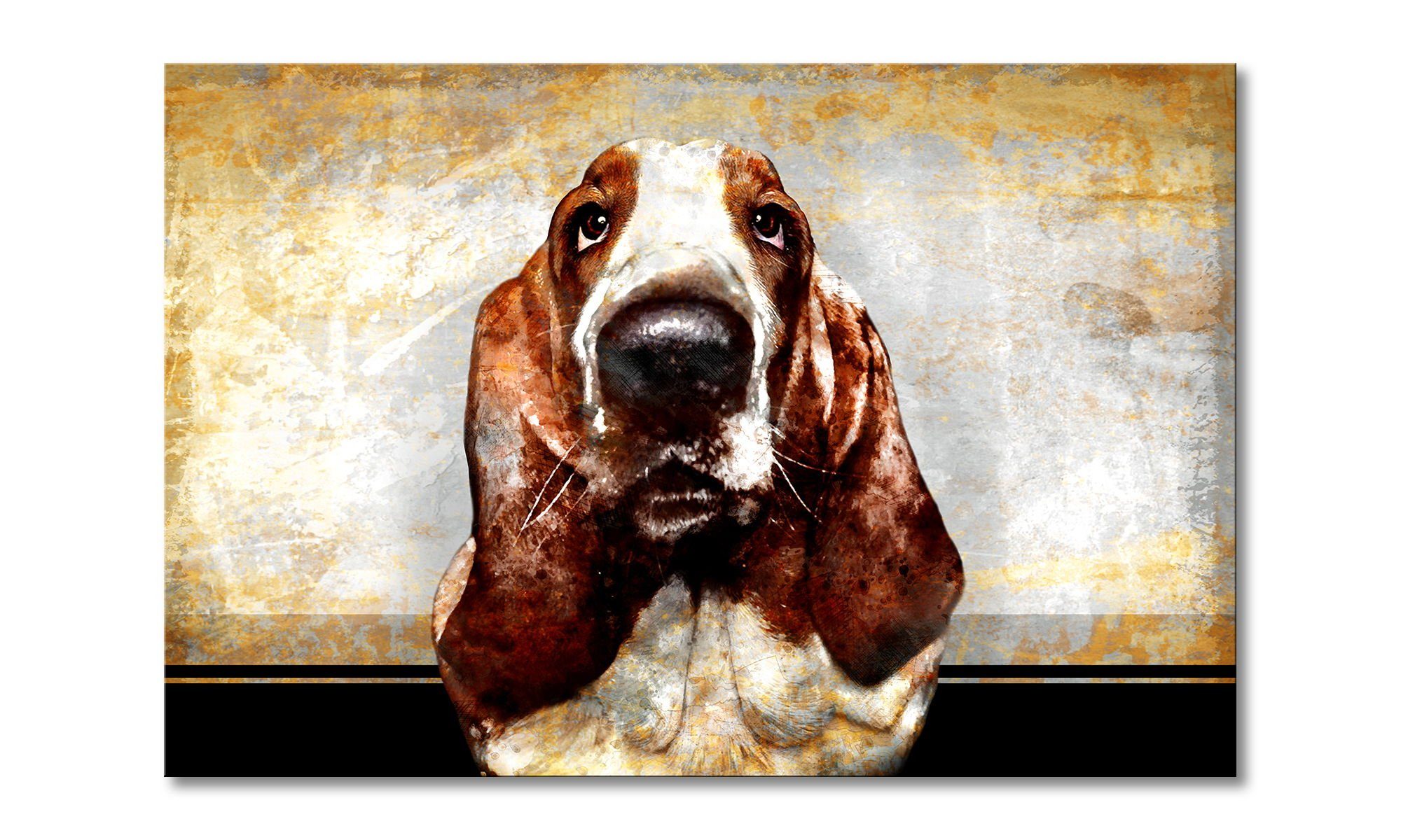 Leinwandbild Old Dog