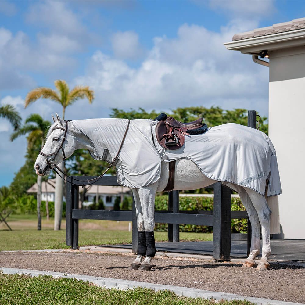 Ausreitdecke Horseware Amigo Flyrider