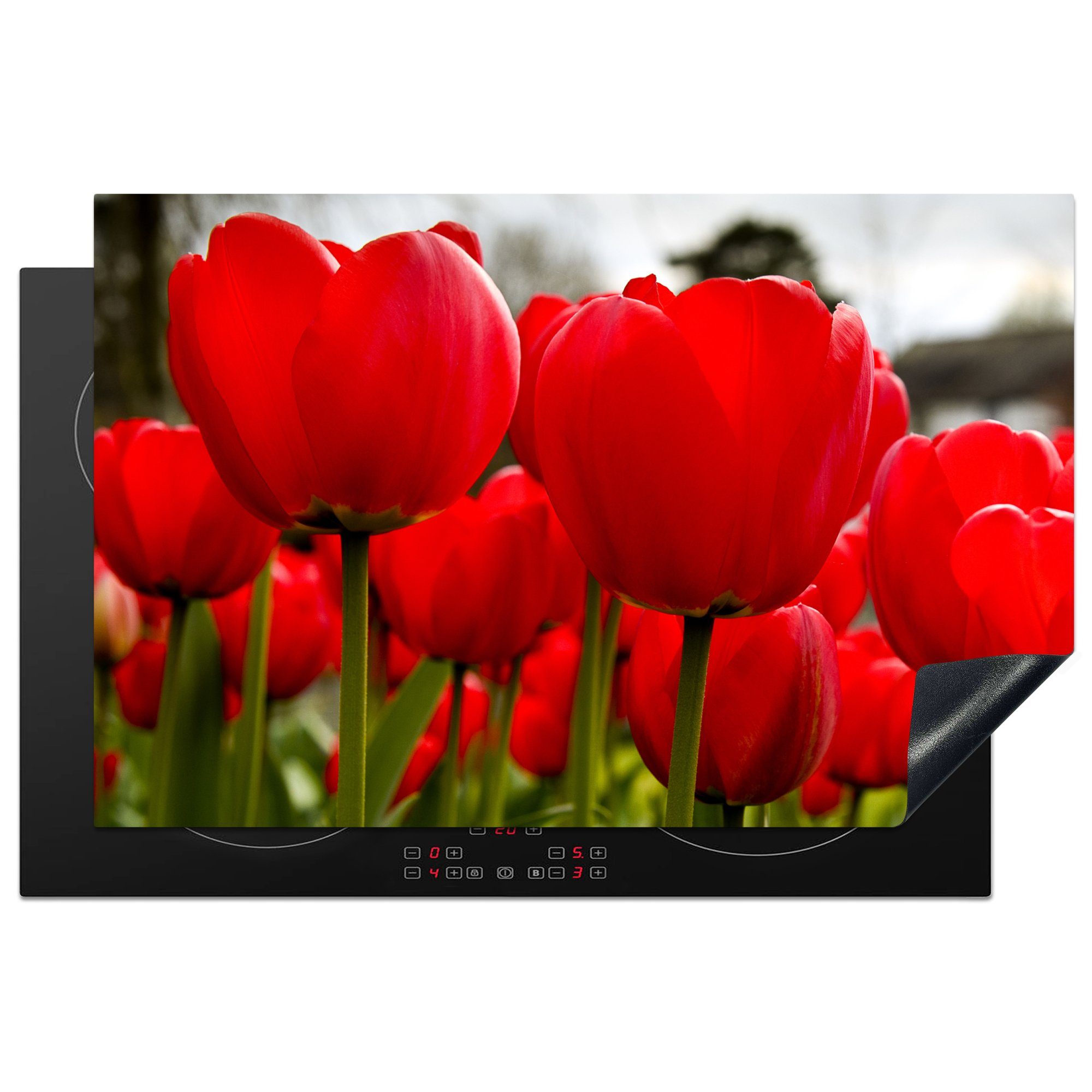 MuchoWow Herdblende-/Abdeckplatte Nahaufnahme von roten Tulpen, Vinyl, (1 tlg), 81x52 cm, Induktionskochfeld Schutz für die küche, Ceranfeldabdeckung