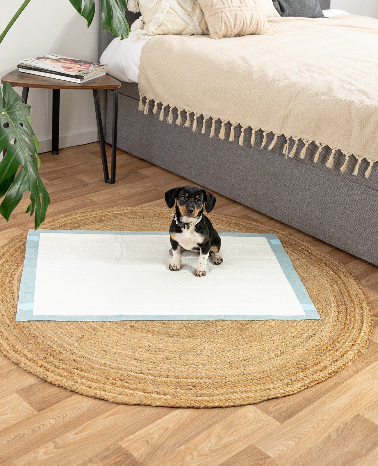 lionto Hundematte lionto Welpenunterlage Hygieneunterlage für Hunde 6-lagig günstig online kaufen