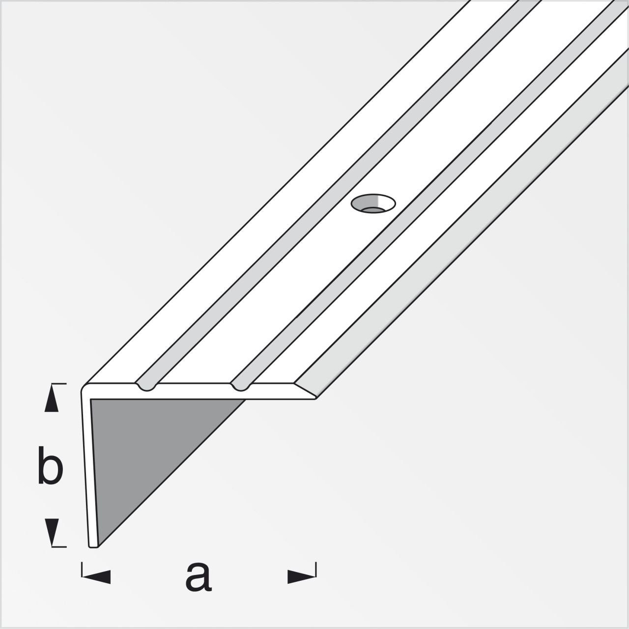 2 x Treppenstufen-Seitenblende Aluminium m, 25 alfer alfer 20 Treppenprofil mm