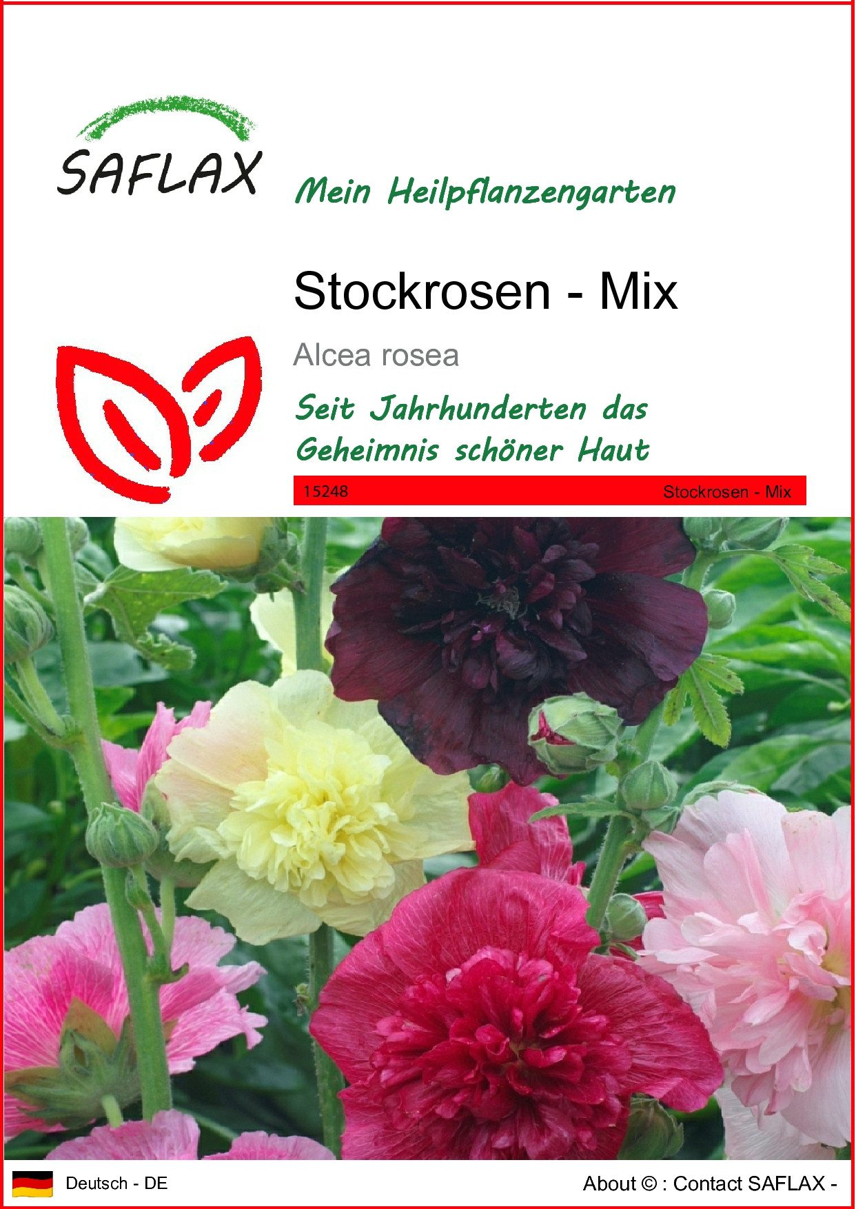 Blumensamen SAFLAX - Samen - Stockrosen - Mix