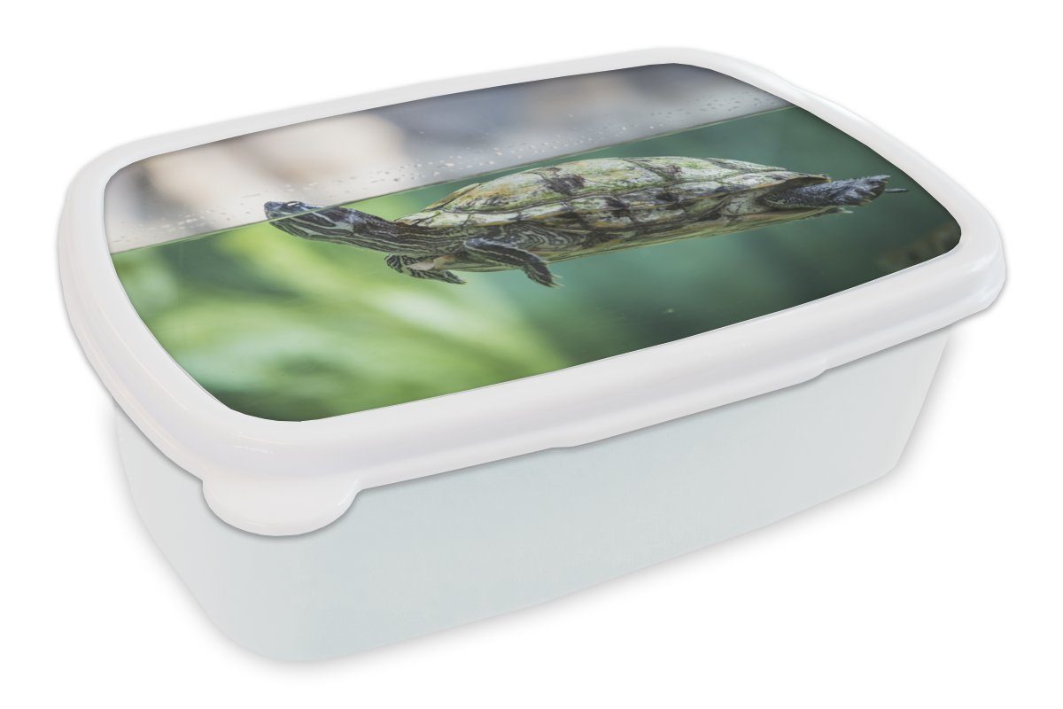 MuchoWow Lunchbox Nahaufnahme einer Schildkröte, Kunststoff, (2-tlg), Brotbox für Kinder und Erwachsene, Brotdose, für Jungs und Mädchen weiß
