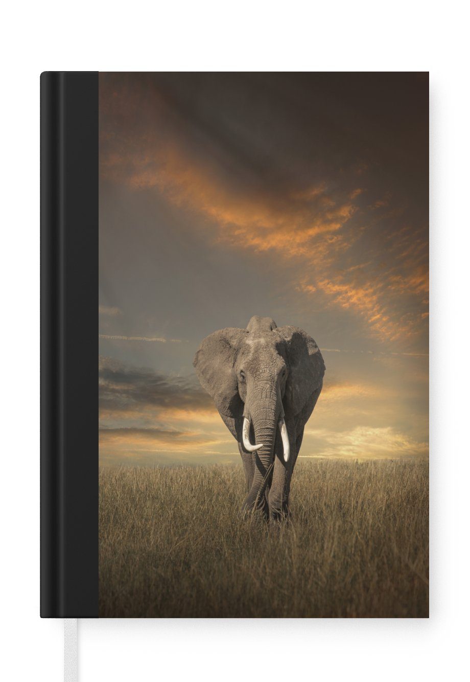 Seiten, - 98 Tiere Gras Elefant A5, MuchoWow Natur, - Notizbuch - Notizheft, Haushaltsbuch Tagebuch, Journal, Merkzettel,