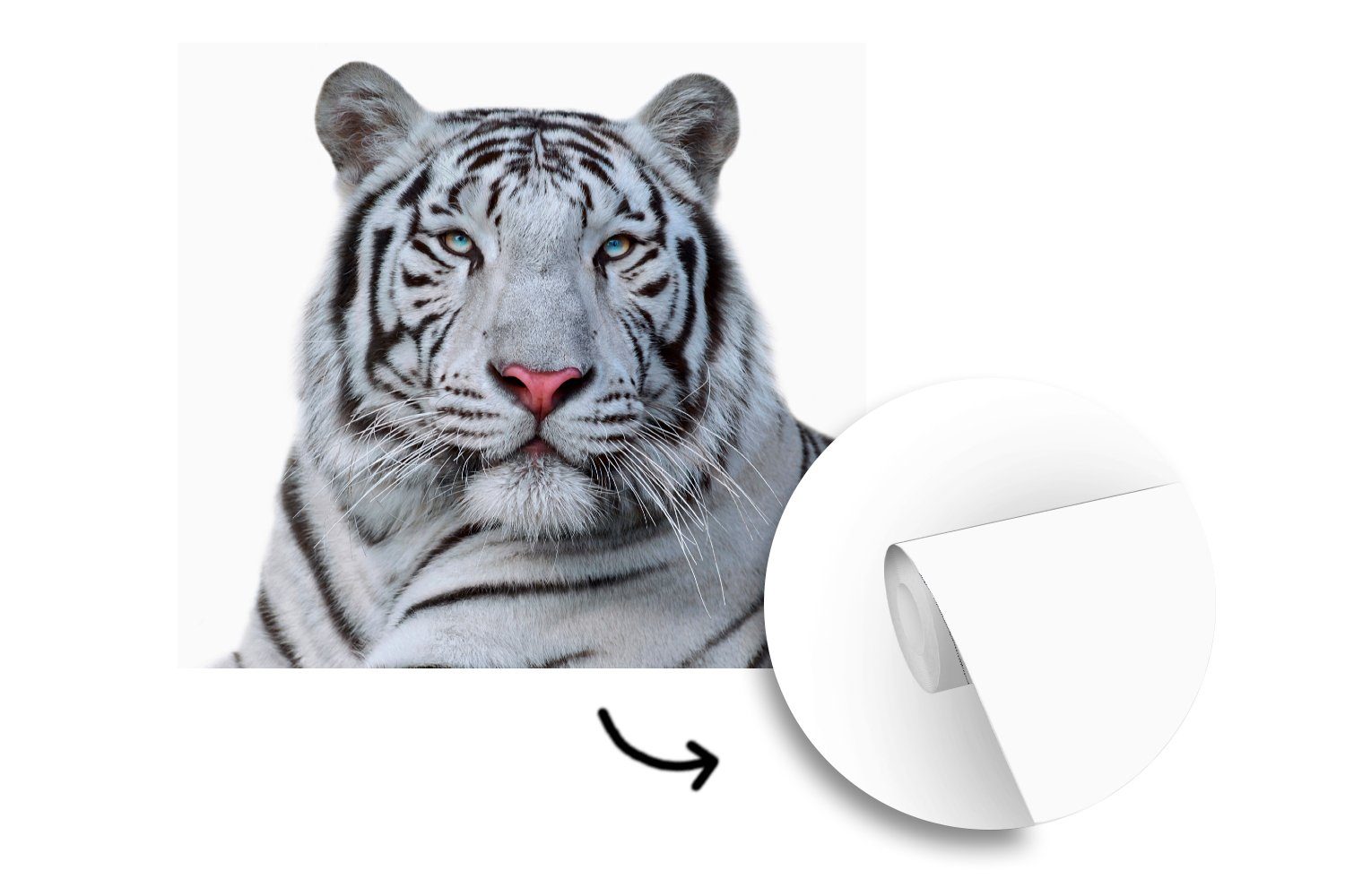 Fototapete Montagefertig (5 Wandtapete Tiger bedruckt, - Tiere, - für Vinyl MuchoWow Matt, Wohnzimmer, St), Tapete Weiß