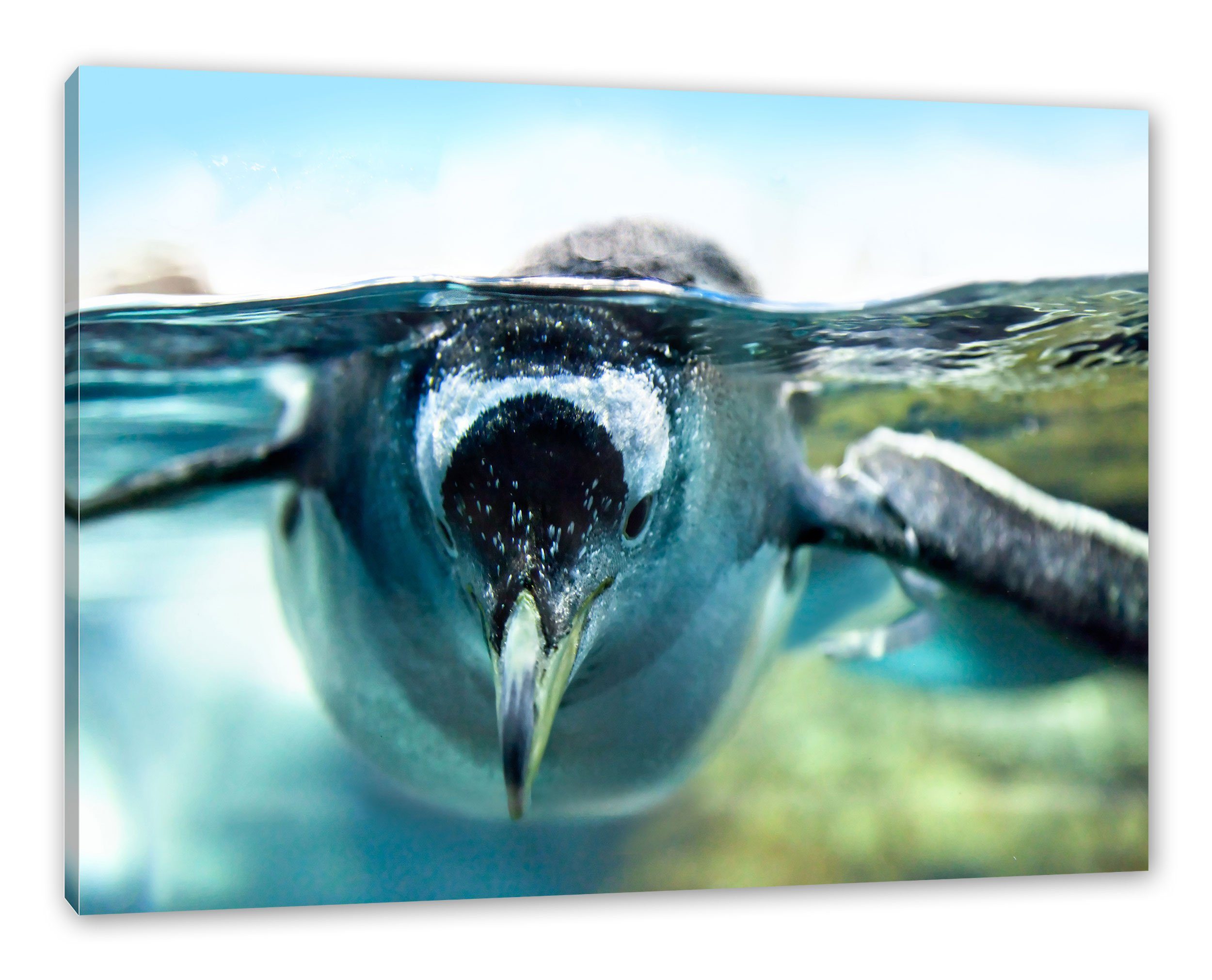 Pixxprint Leinwandbild Pinguin im Zackenaufhänger Leinwandbild fertig bespannt, inkl. Wasser, St), im (1 Pinguin Wasser