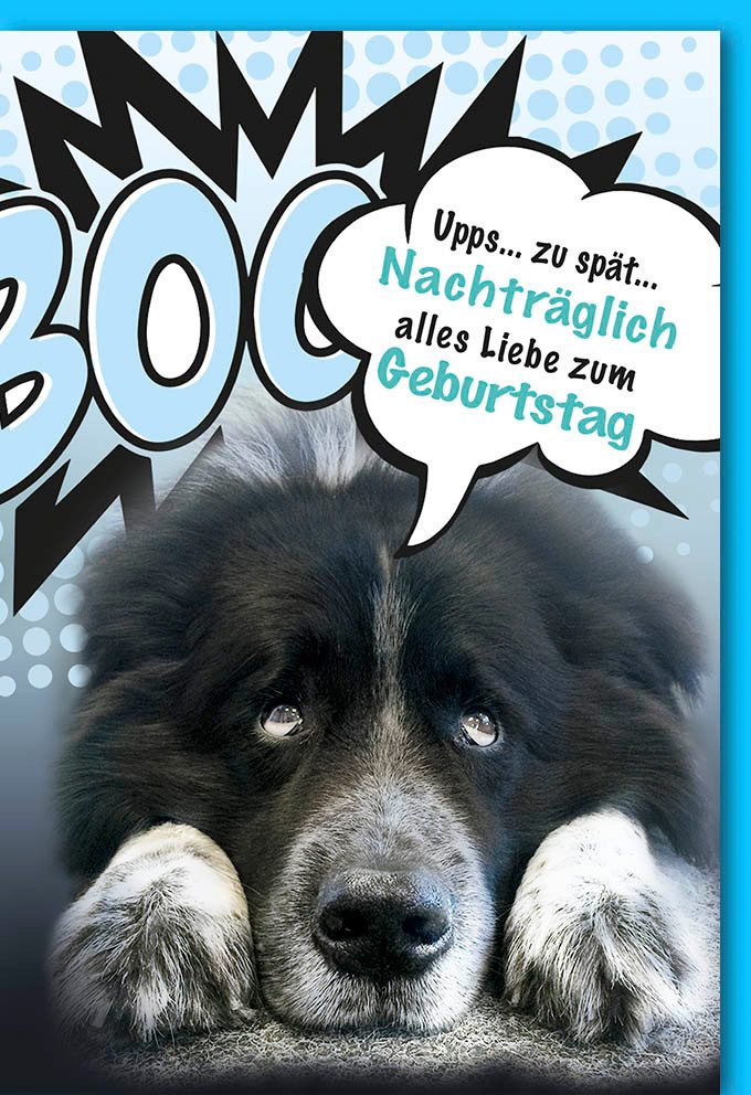 Grußkarten Geburtstag nachträglich - Glückwunschkarte mit Umschlag - Hund