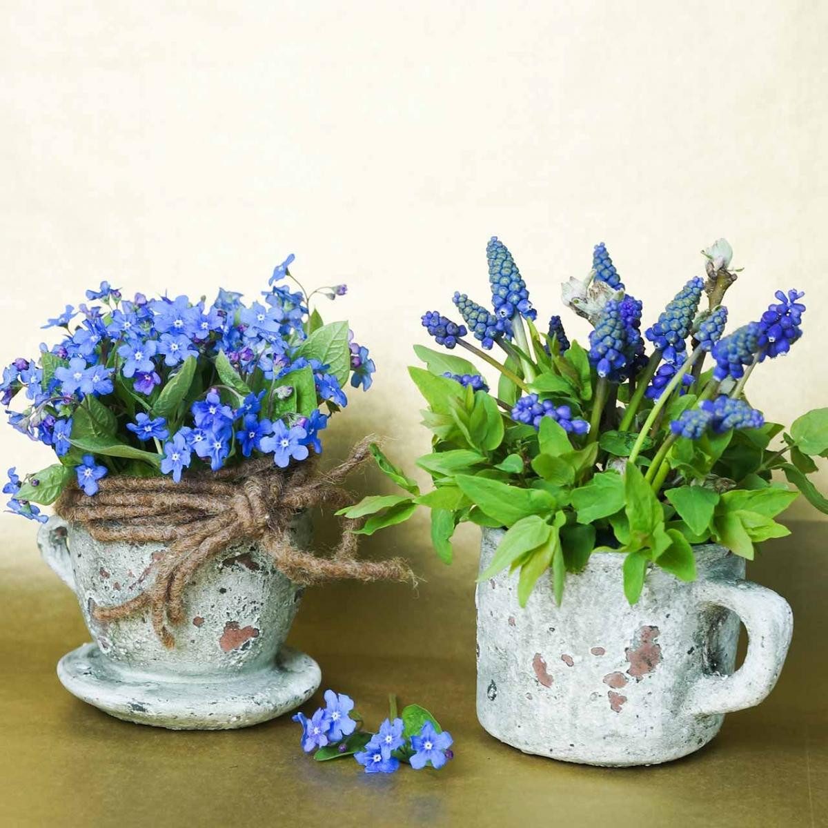 Florists Products Übertopf Pflanztopf Übertopf Tasse Ton Vintage Ø8cm H6,5cm Set 4St