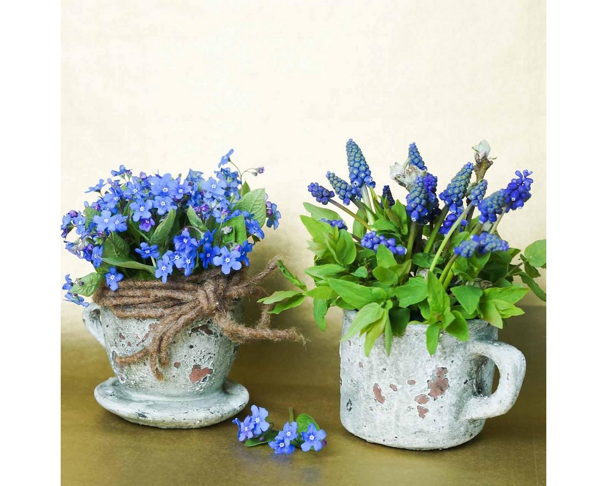 Thumbnail - Viana Übertopf Pflanztopf Übertopf Tasse Ton Vintage Ø8cm H6,5cm Set 4St