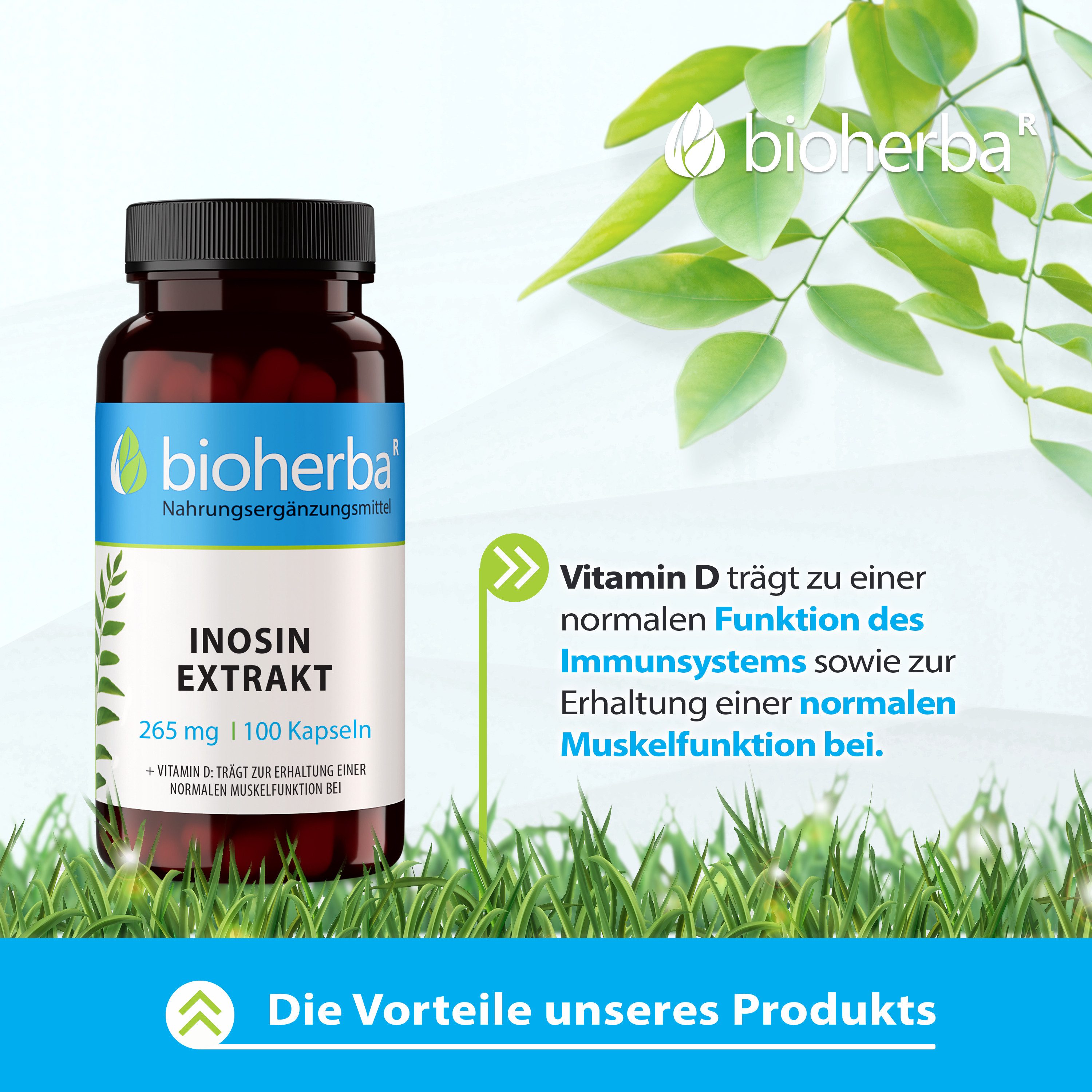 BIOHERBA R Bioherba Inosin Extrakt 265 mg 100 Kapseln Nahrungsergänzungsmittel, 1 er