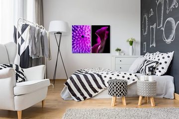 Sinus Art Leinwandbild 2 Bilder je 60x90cm Koralle Unterwasser Blüte Orchidee Nahaufnahme Fotokunst Violett