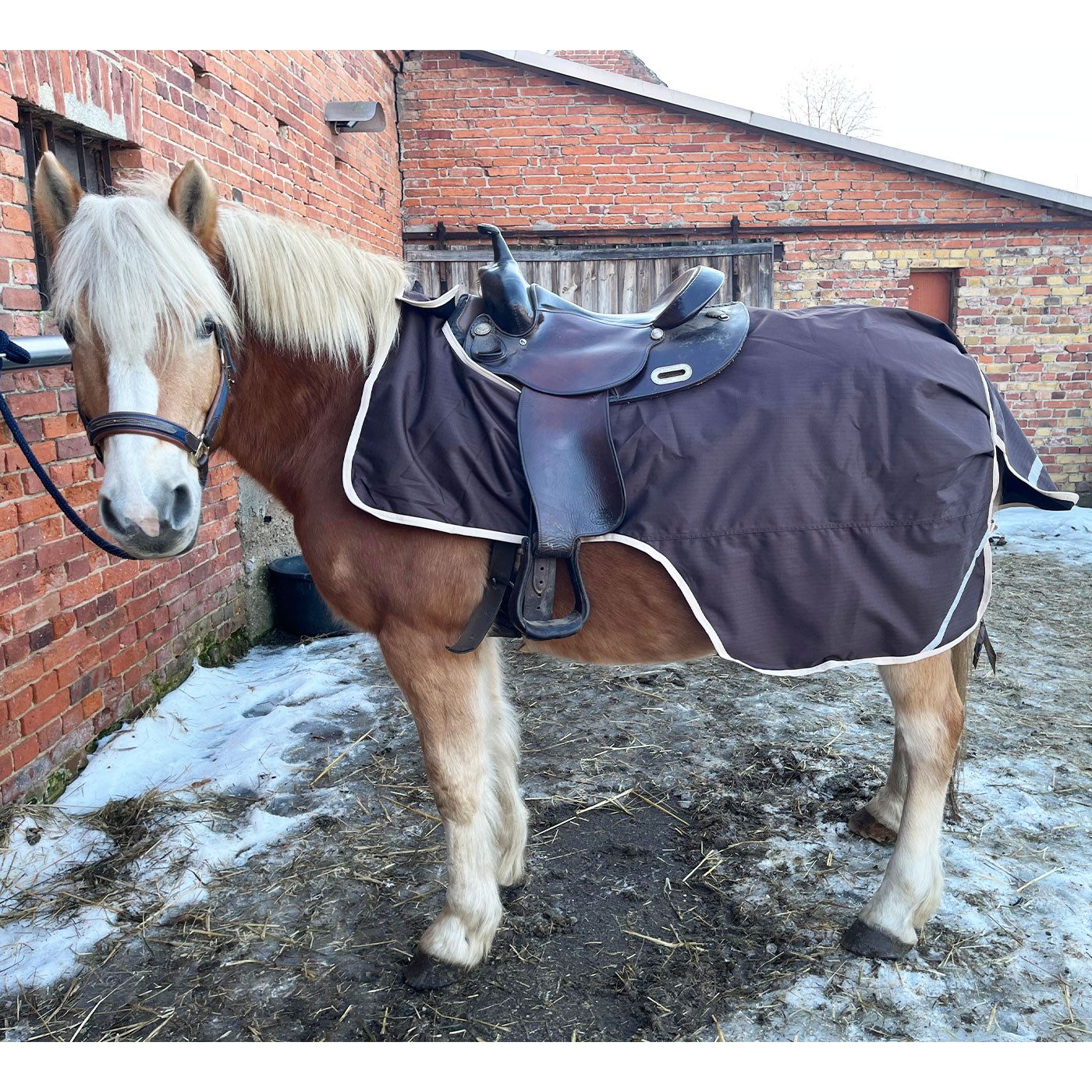 Brama-West Pferde-Nierendecke Ausreitdecke Active Ride 600D – Braun/Beige, wasserdicht, winddicht und atmungsaktiv