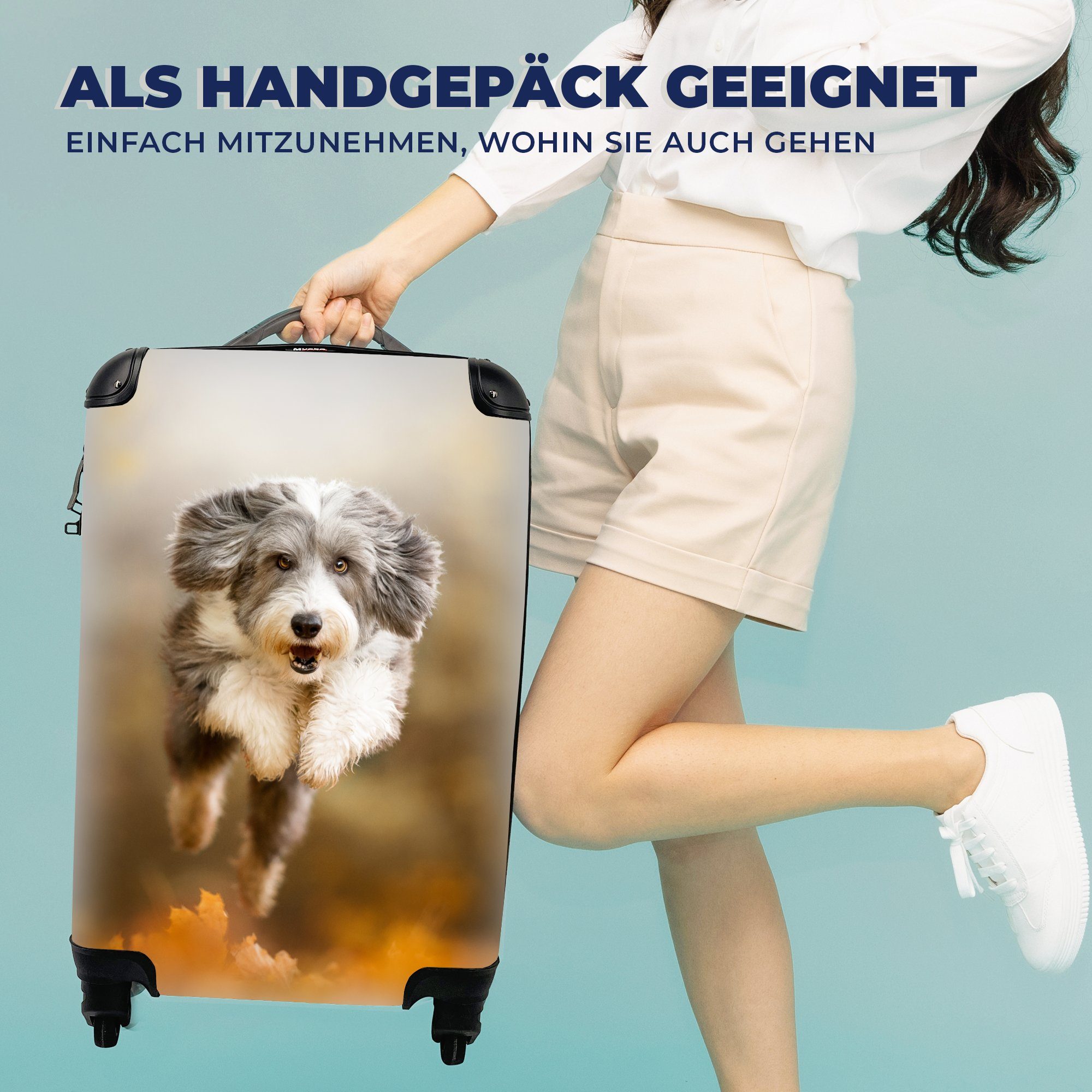 Reisetasche Herbst, 4 - Trolley, Rollen, Ferien, mit Reisekoffer Handgepäckkoffer MuchoWow für Handgepäck Laub - rollen, Hund