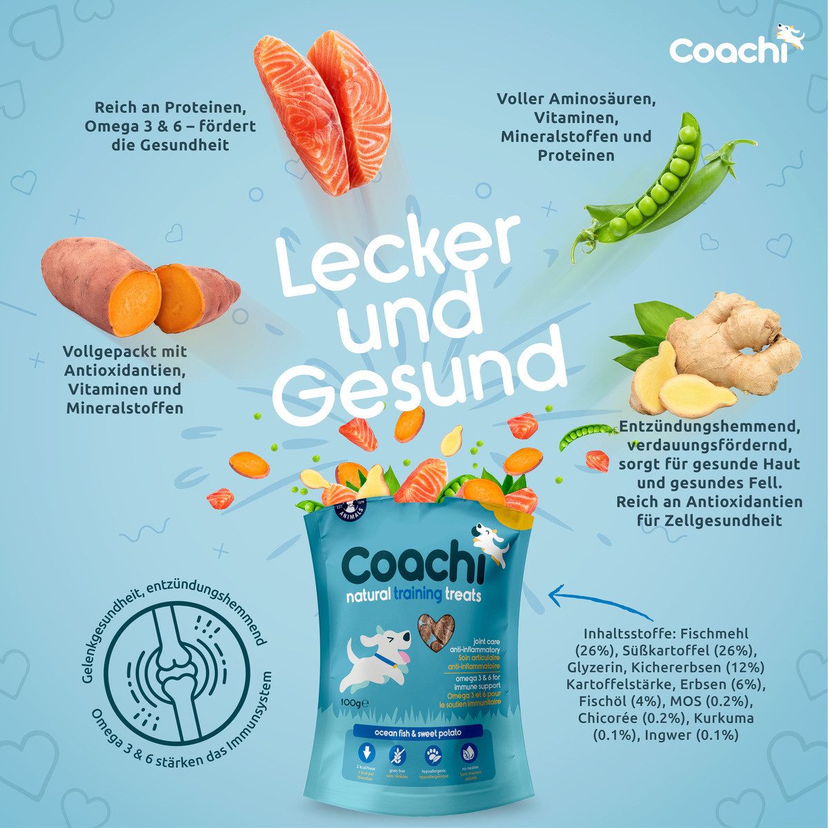 Coachi Hundesnack Natural Training Treats Ocean Fish 100 g, für: Hund