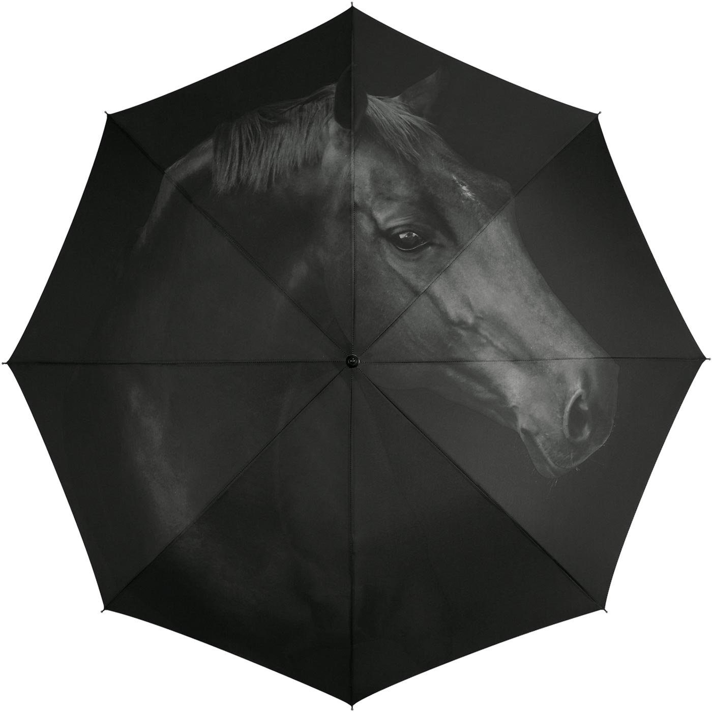 HAPPY RAIN Stockregenschirm schöner Damen-Regenschirm mit Auf-Automatik, mit wunderschönem schwarzen Pferde-Motiv
