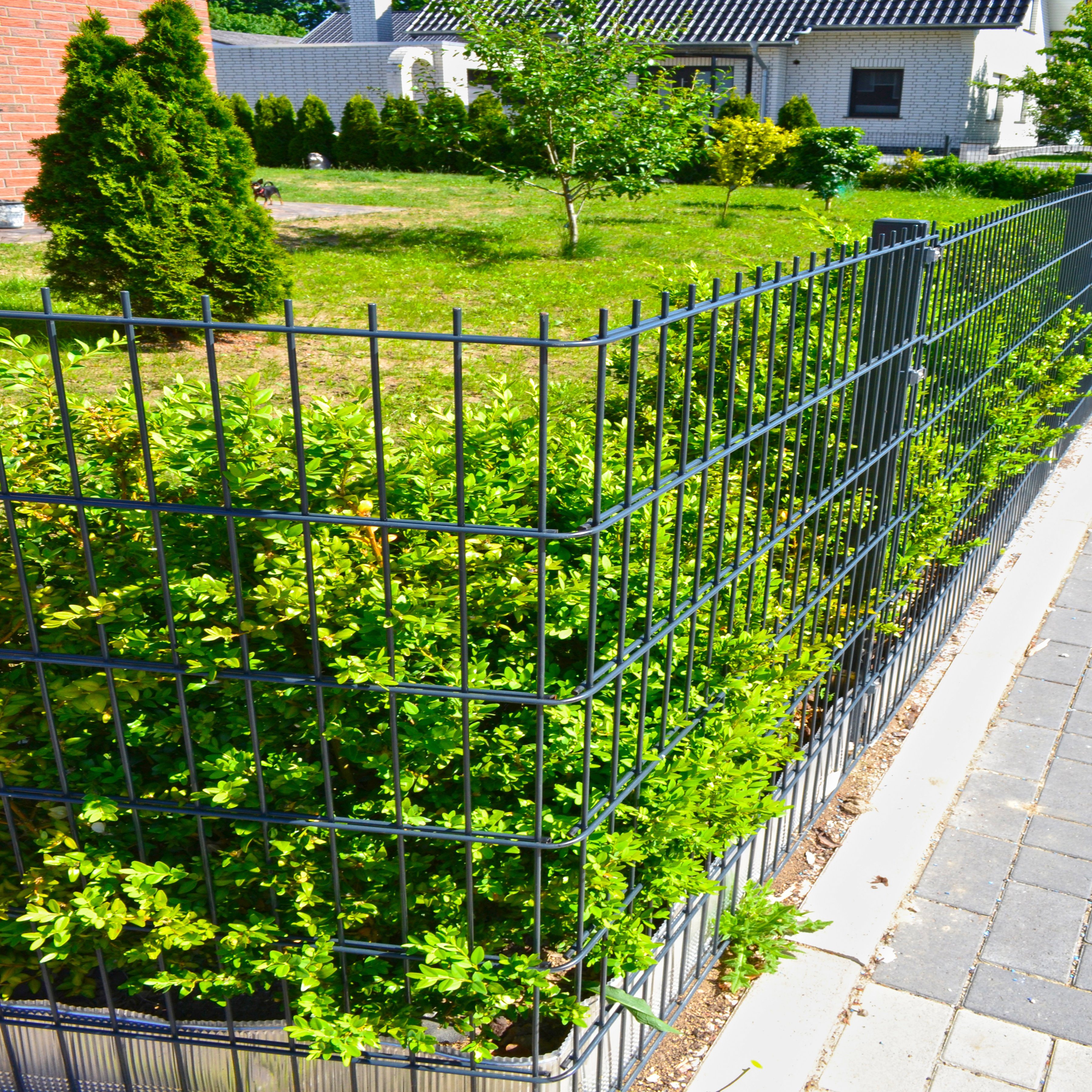 Garten » stahl Zäune und Sichtschutz online kaufen | Möbel ... Garten » stahl Zäune und Sichtschutz online kaufen | Möbel ...
