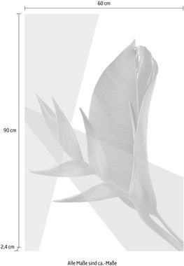 queence Acrylglasbild Blätter