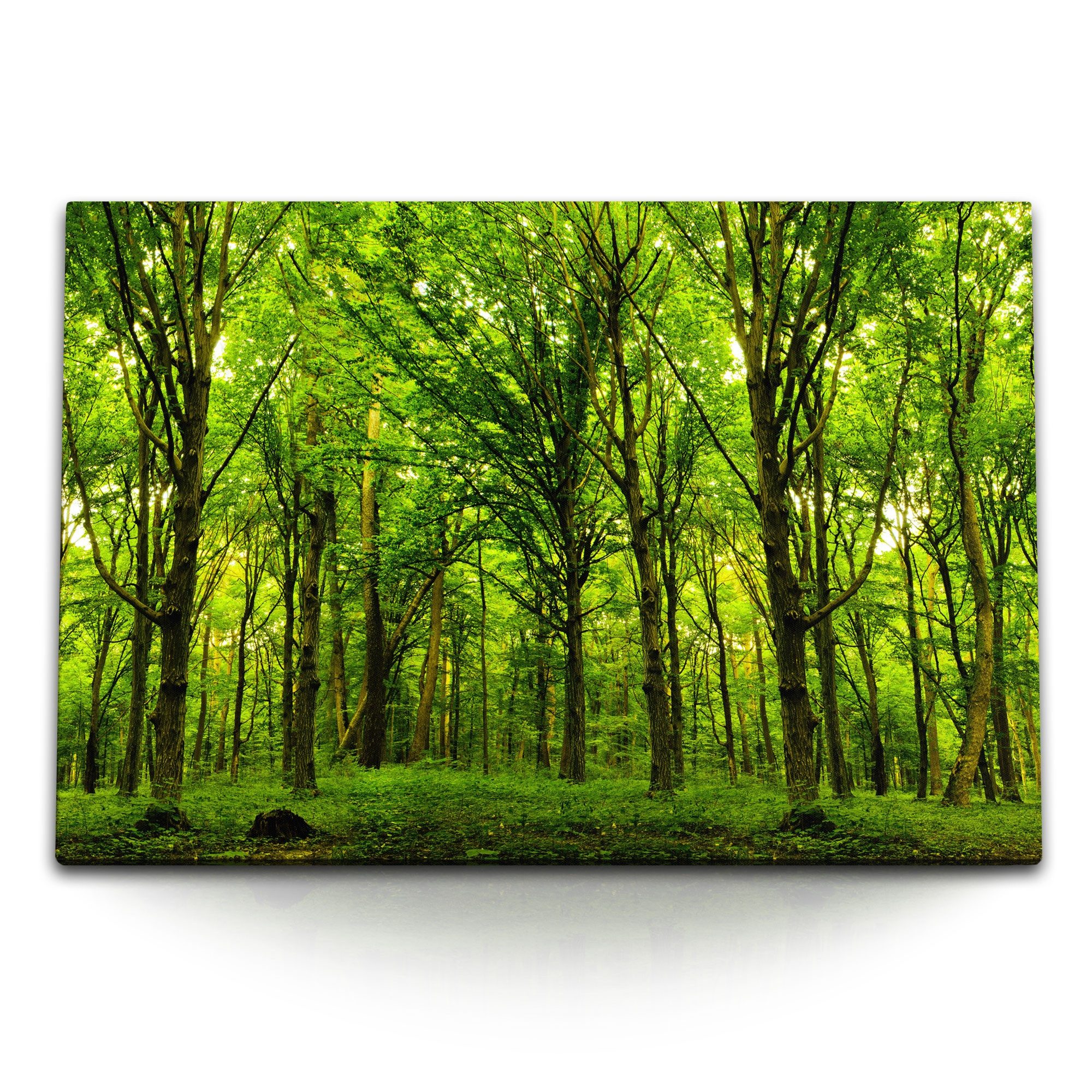 Leinwandbild 120x80cm Wandbild auf Leinwand Grüner Wald Bäume Natur Sommer