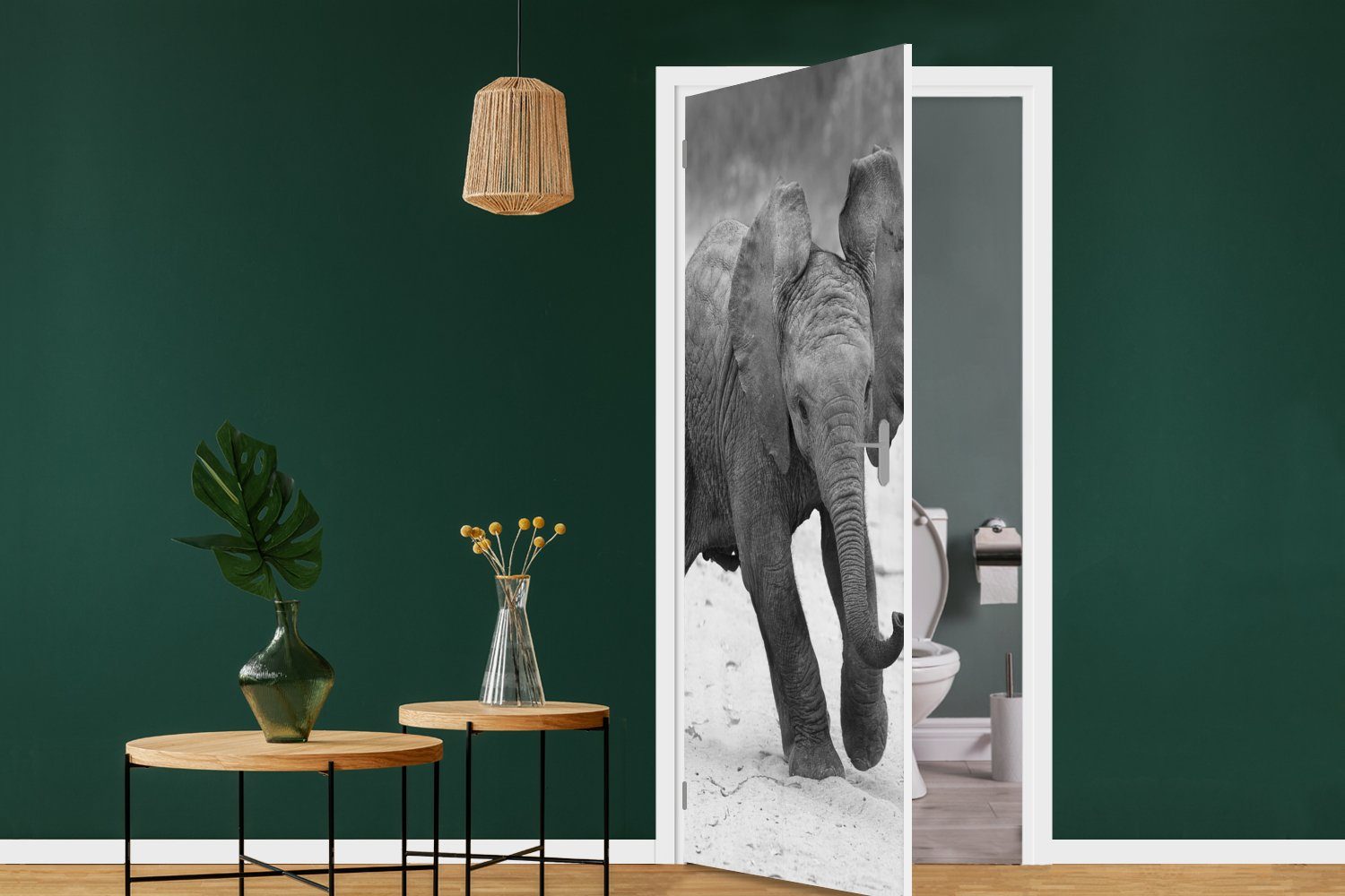 Matt, Tiere weiß, und - Schwarz (1 Tür, bedruckt, 75x205 cm - - Türtapete für Baby MuchoWow Fototapete Elefant St), Türaufkleber, Kröte -