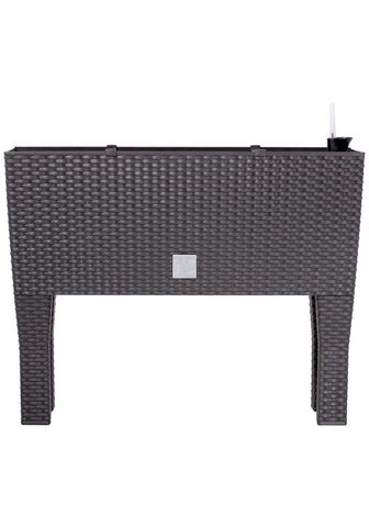 PROSPERPLAST Ящик для растений »Rato чехол hi...