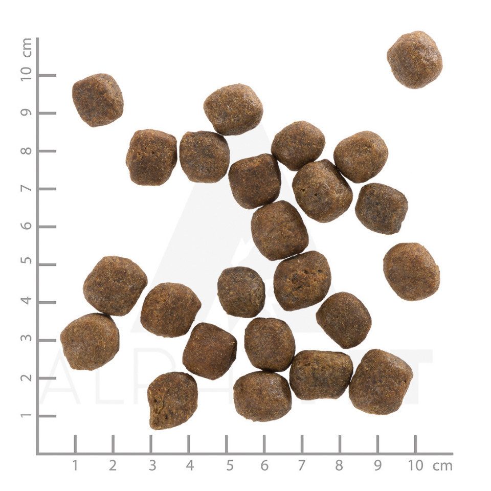 Wolfsblut Cold River Adult - getreidefreies Trockenfutter mit Forelle, Trockenfutter für: Hunde