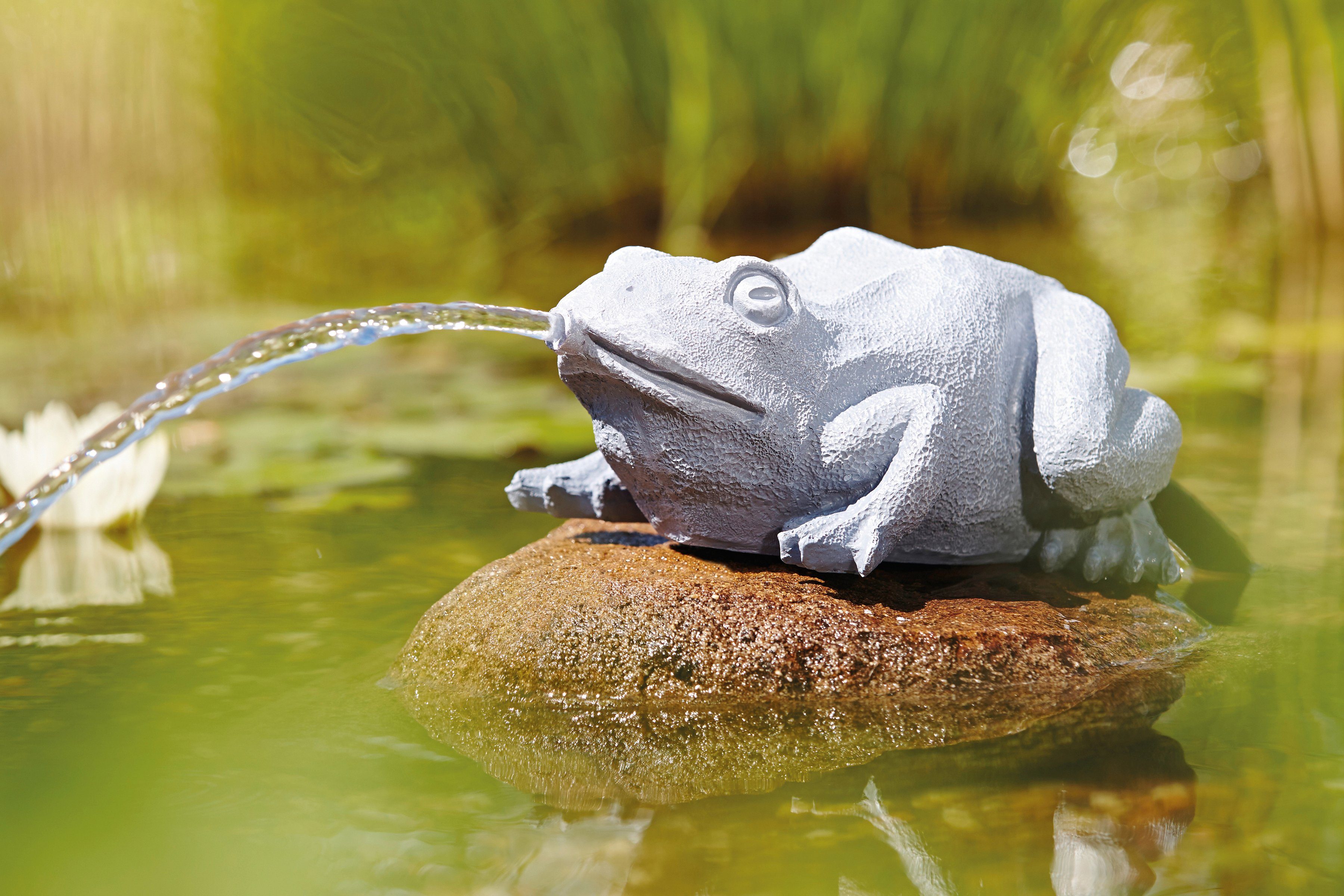 OASE Wasserspeier »Frosch«-Otto