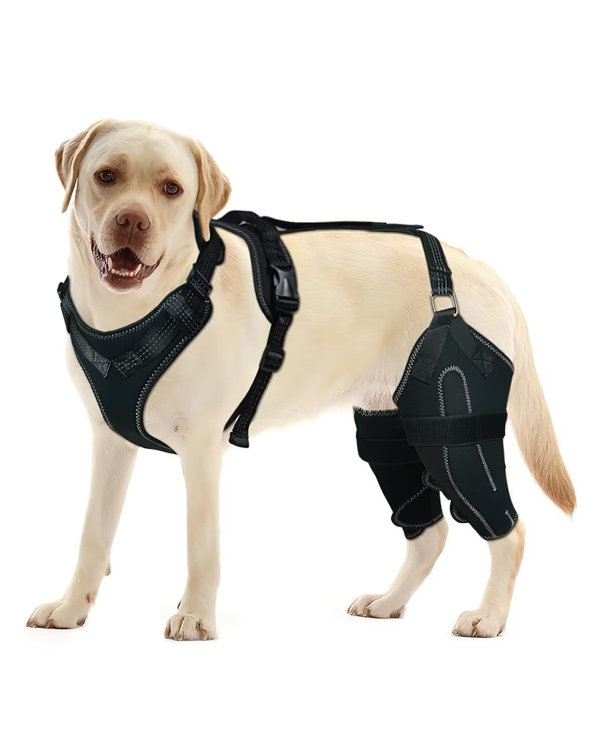 Ledander Stützbandage Hunde-Kniebandage für gerissenes ACL/CCL Hinterbein, verstellbare, Luxuriöse Kniescheibenbandage mit rutschfester Unterstützung