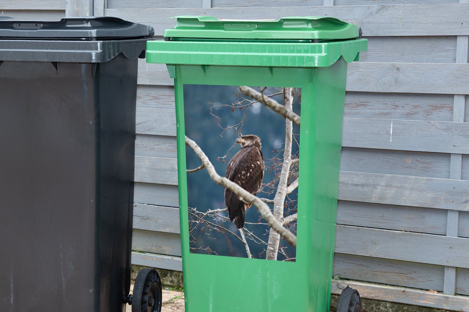 Wandsticker Zweig Mülleimer-aufkleber, Mülltonne, Container, Sticker, - Raubvogel MuchoWow (1 Vogel Abfalbehälter - St),