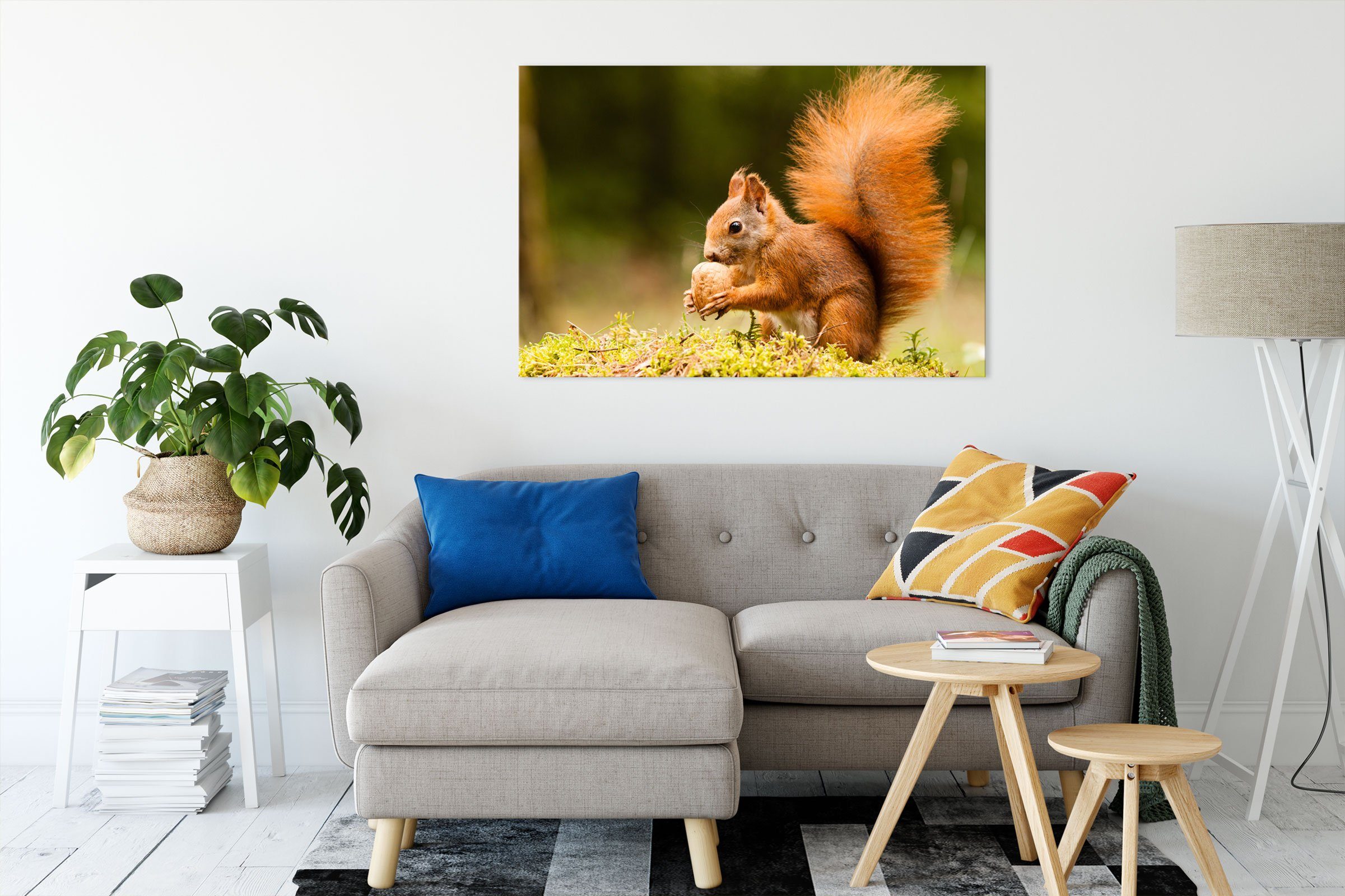 Pixxprint Leinwandbild Eichhörnchen inkl. bespannt, (1 St), mit Zackenaufhänger Nuss mit Leinwandbild fertig Nuss, Eichhörnchen