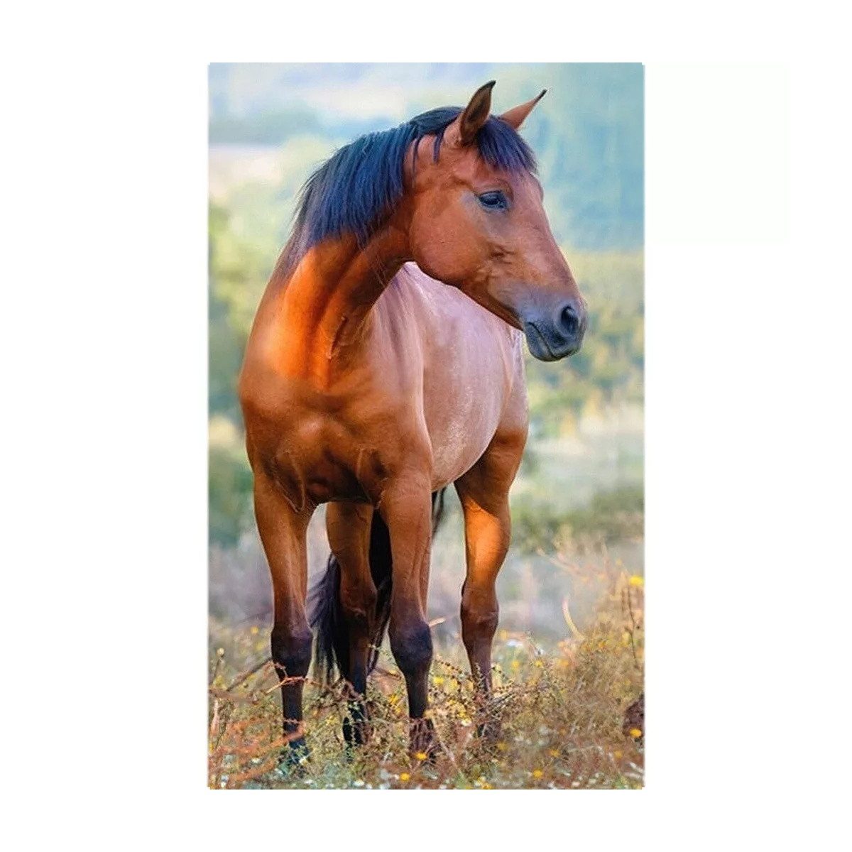 Wisam Badetücher Pferd Brown Handtuch Gesichtstuch, Handtuch 30x50cm, Baumwolle (1-St)