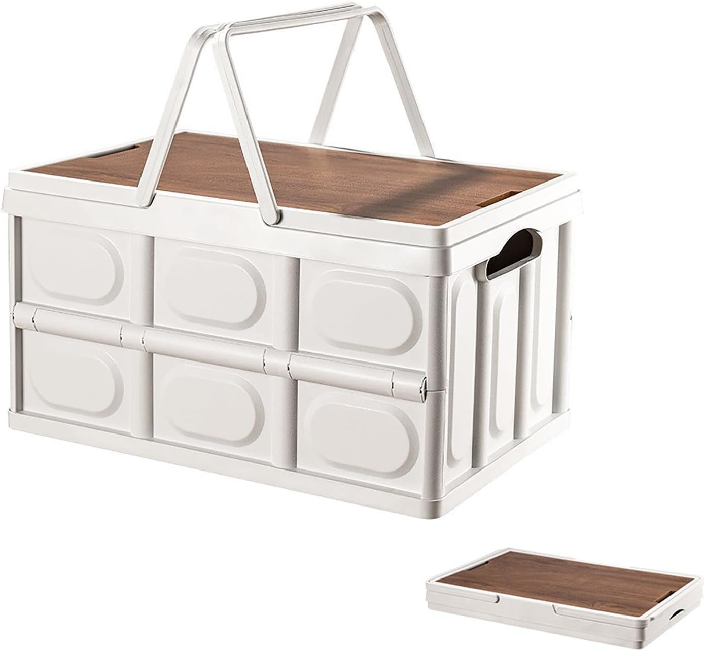 Coonoor Aufbewahrungsbox Compact Aufbewahrungsbox 30l mit günstig online kaufen