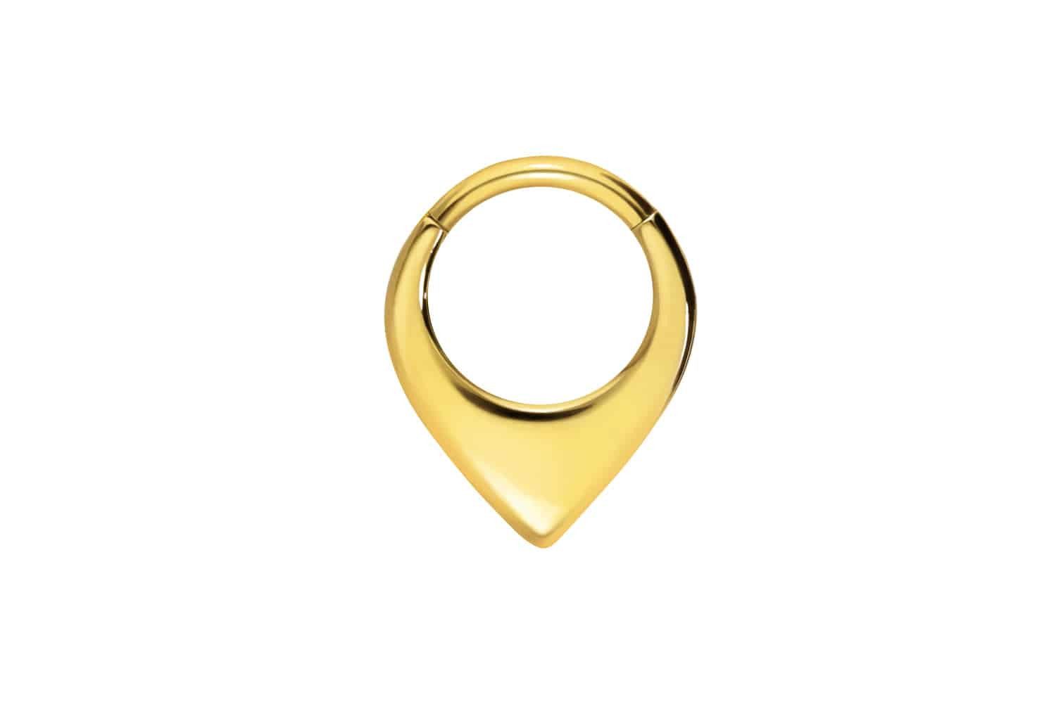 PIERCINGLINE Nasenpiercing Chirurgenstahl Segmentring Clicker SPITZ Ohrpier günstig online kaufen