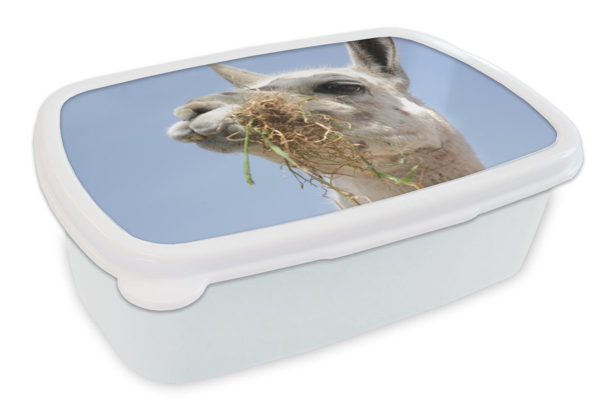 MuchoWow Lunchbox Alpaka - Tier - Lebensmittel, Kunststoff, (2-tlg), Brotbox für Kinder und Erwachsene, Brotdose, für Jungs und Mädchen weiß
